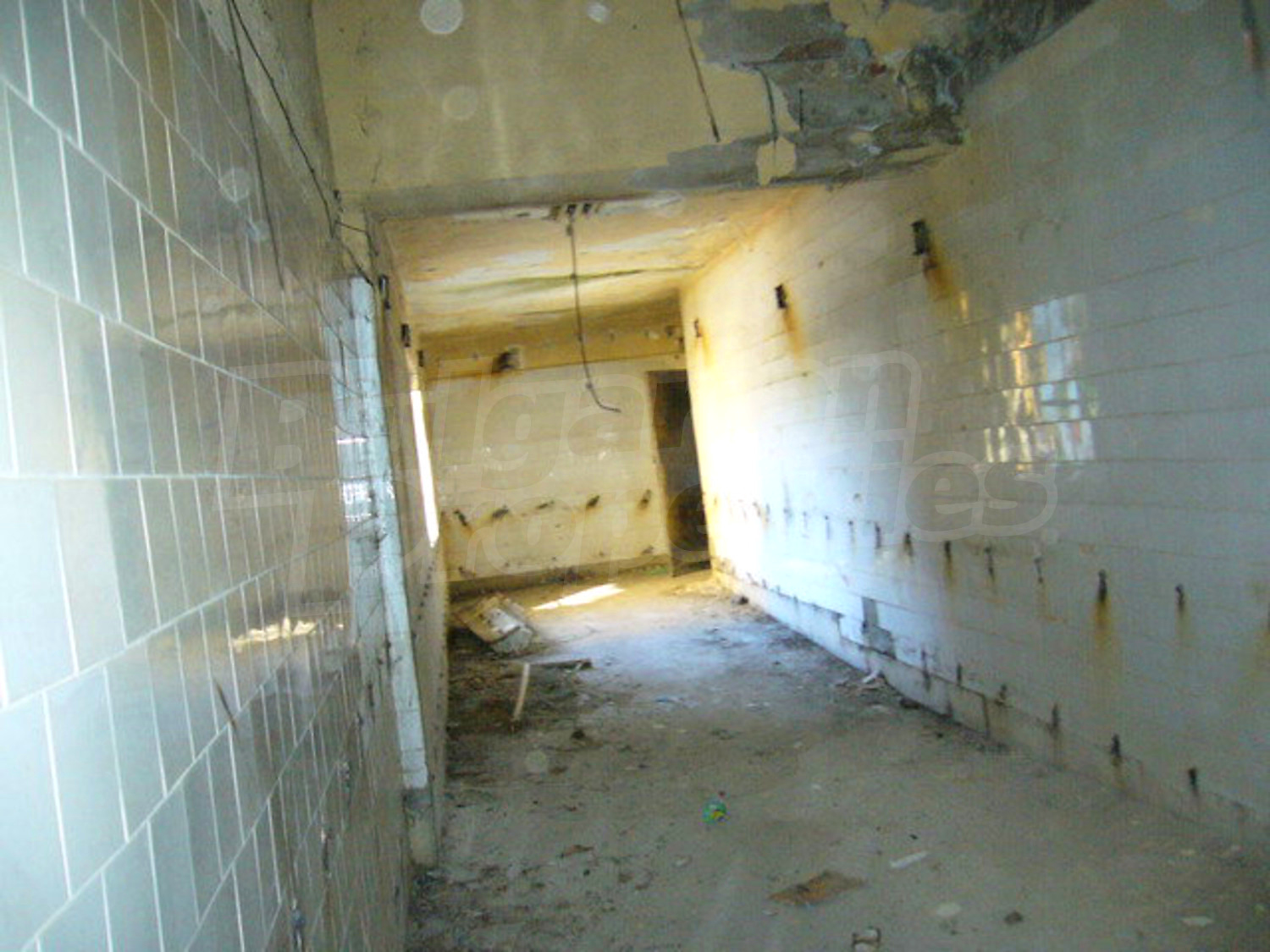 Gallery Picture 24