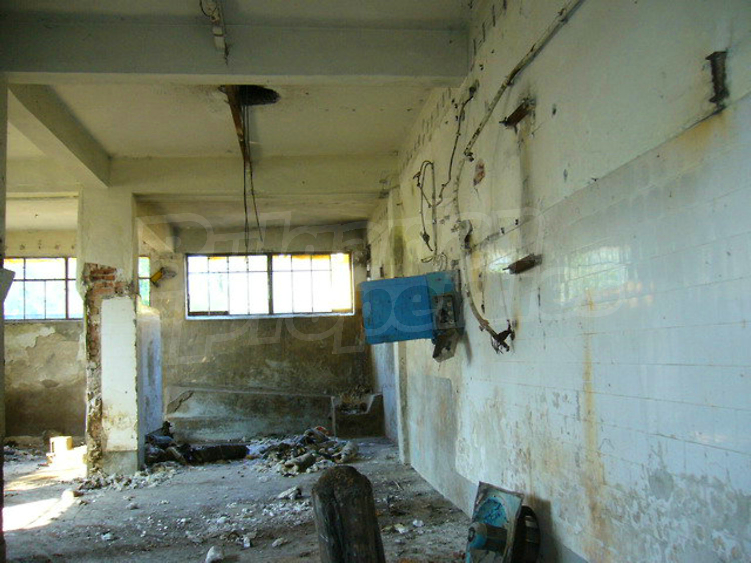 Gallery Picture 26