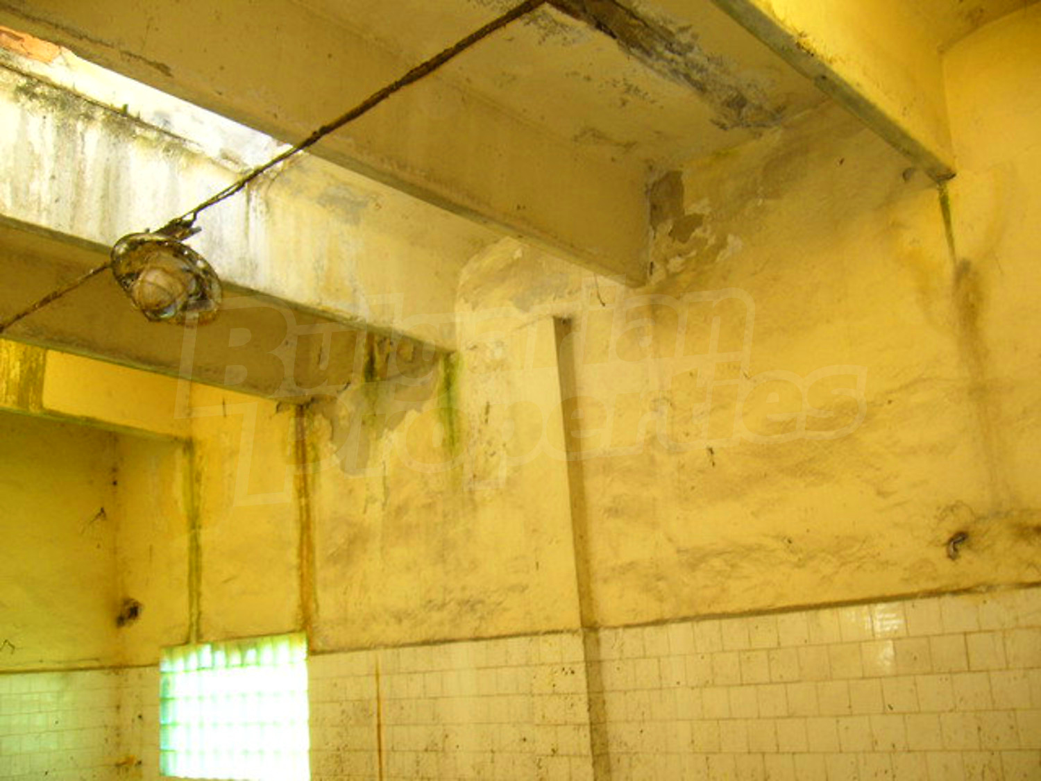 Gallery Picture 30