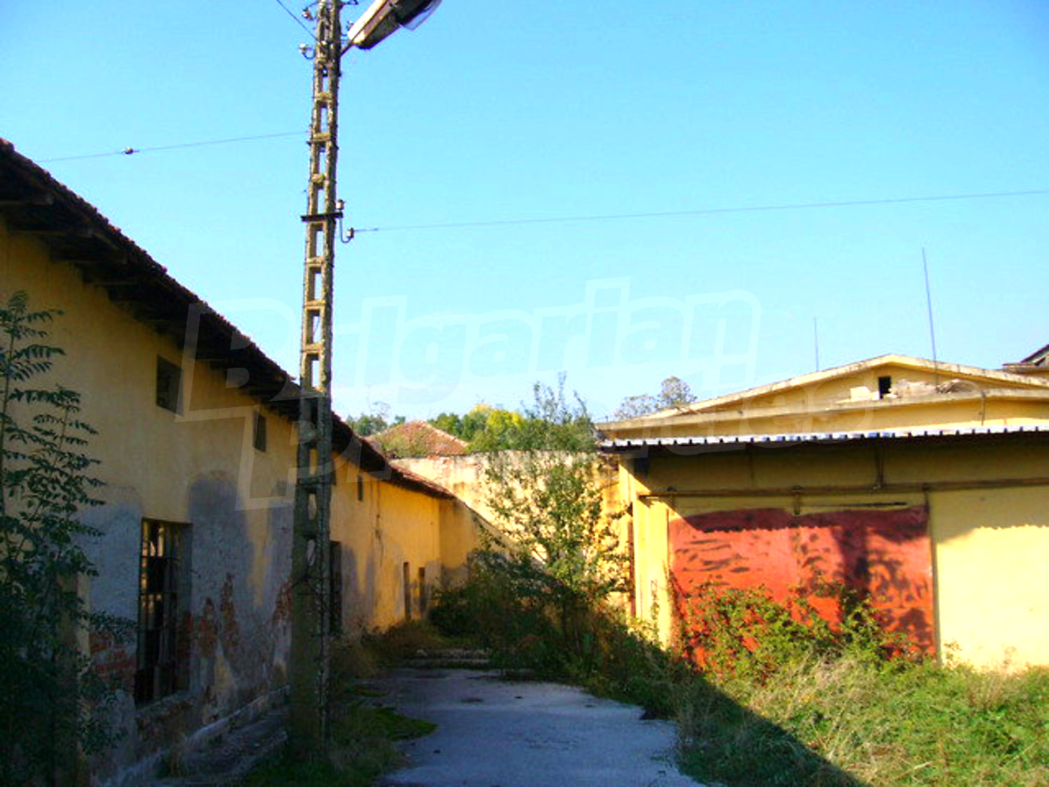 Gallery Picture 31