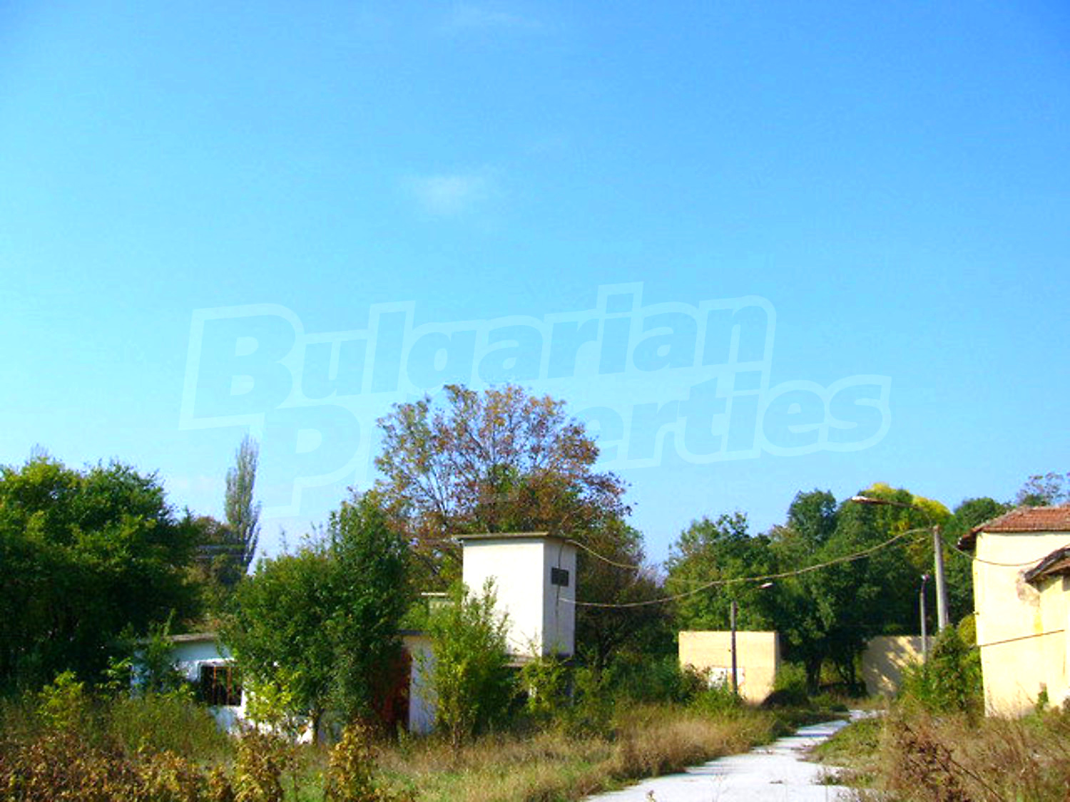Gallery Picture 36