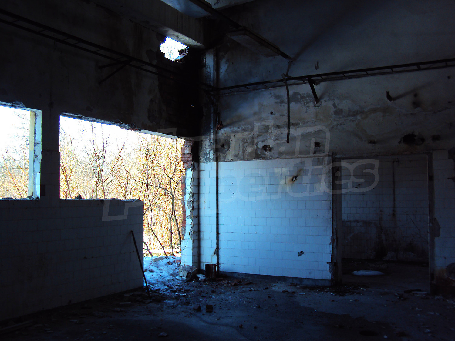 Gallery Picture 51