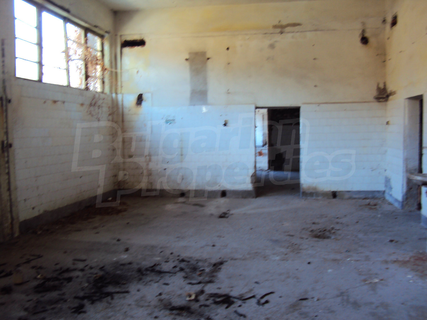 Gallery Picture 54