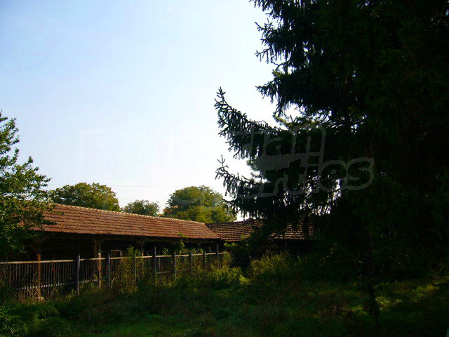 Gallery Picture 9