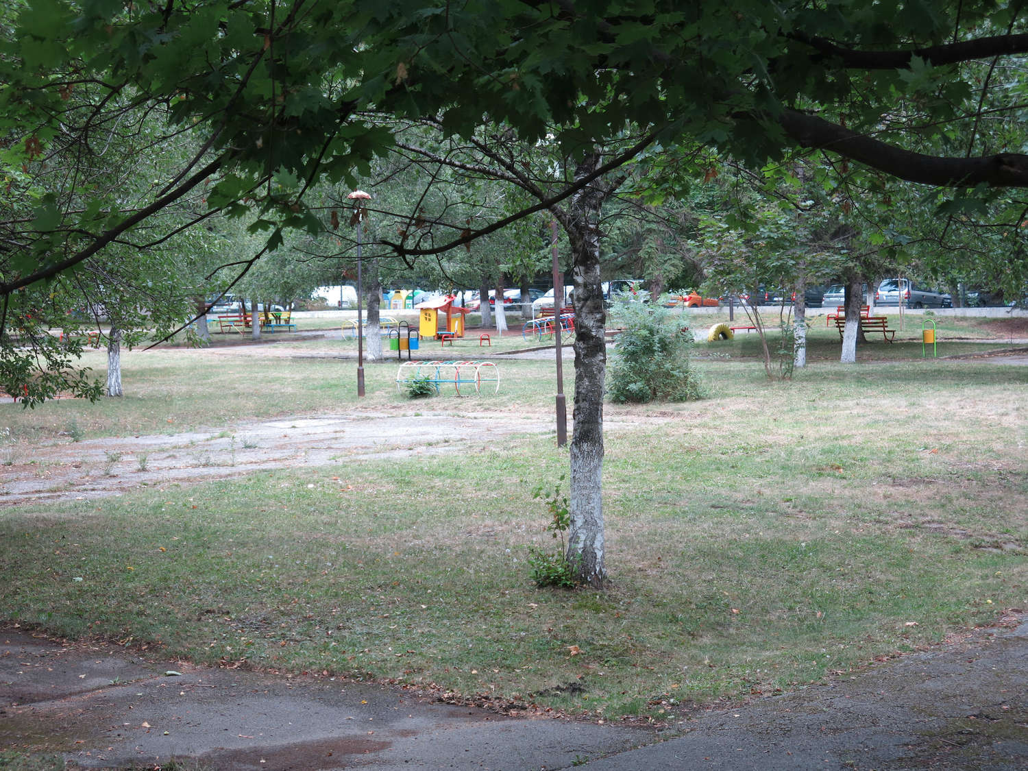 Gallery Picture 10