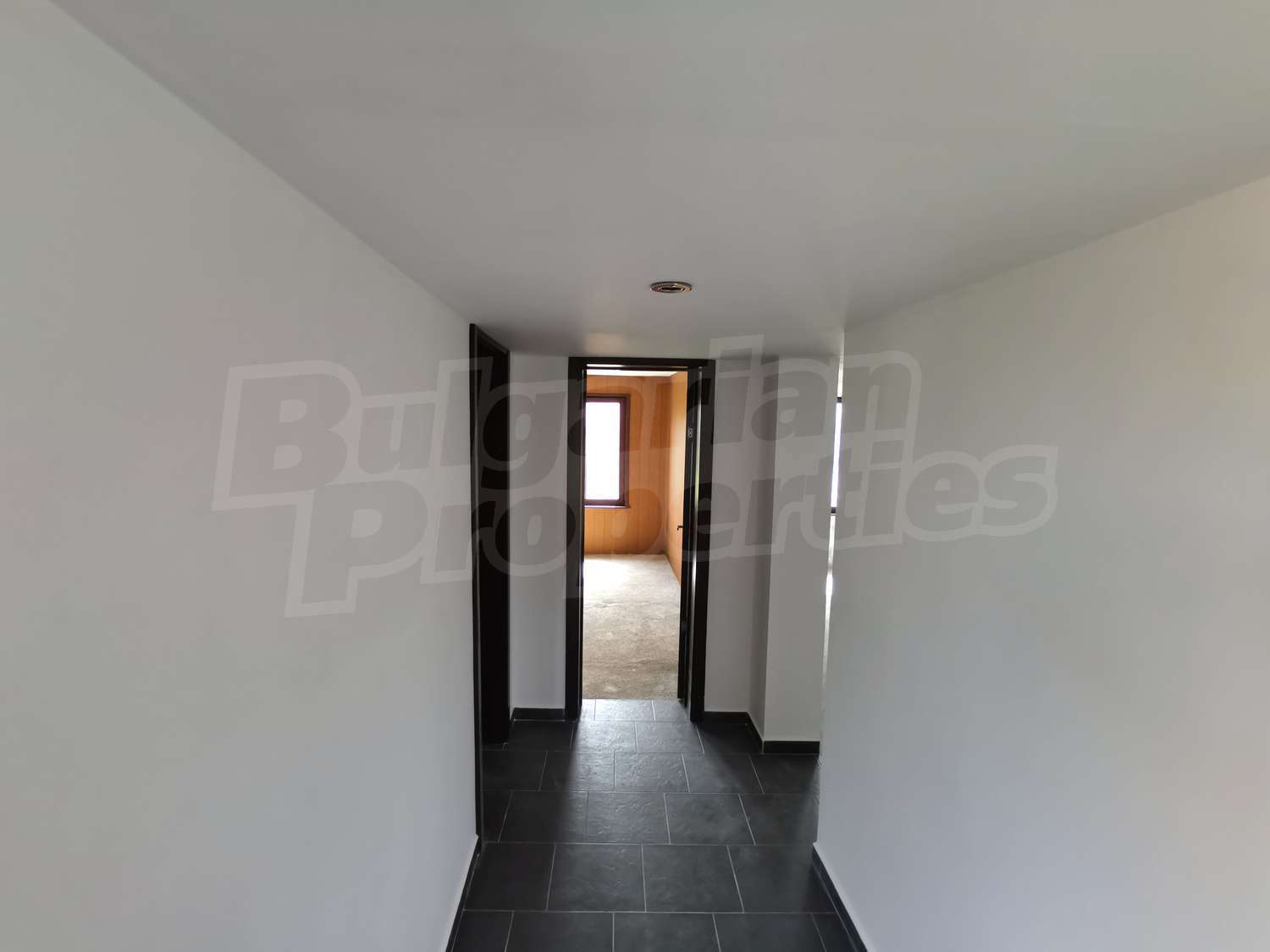 Gallery Picture 19