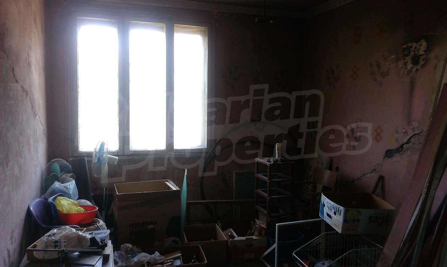 Gallery Picture 11