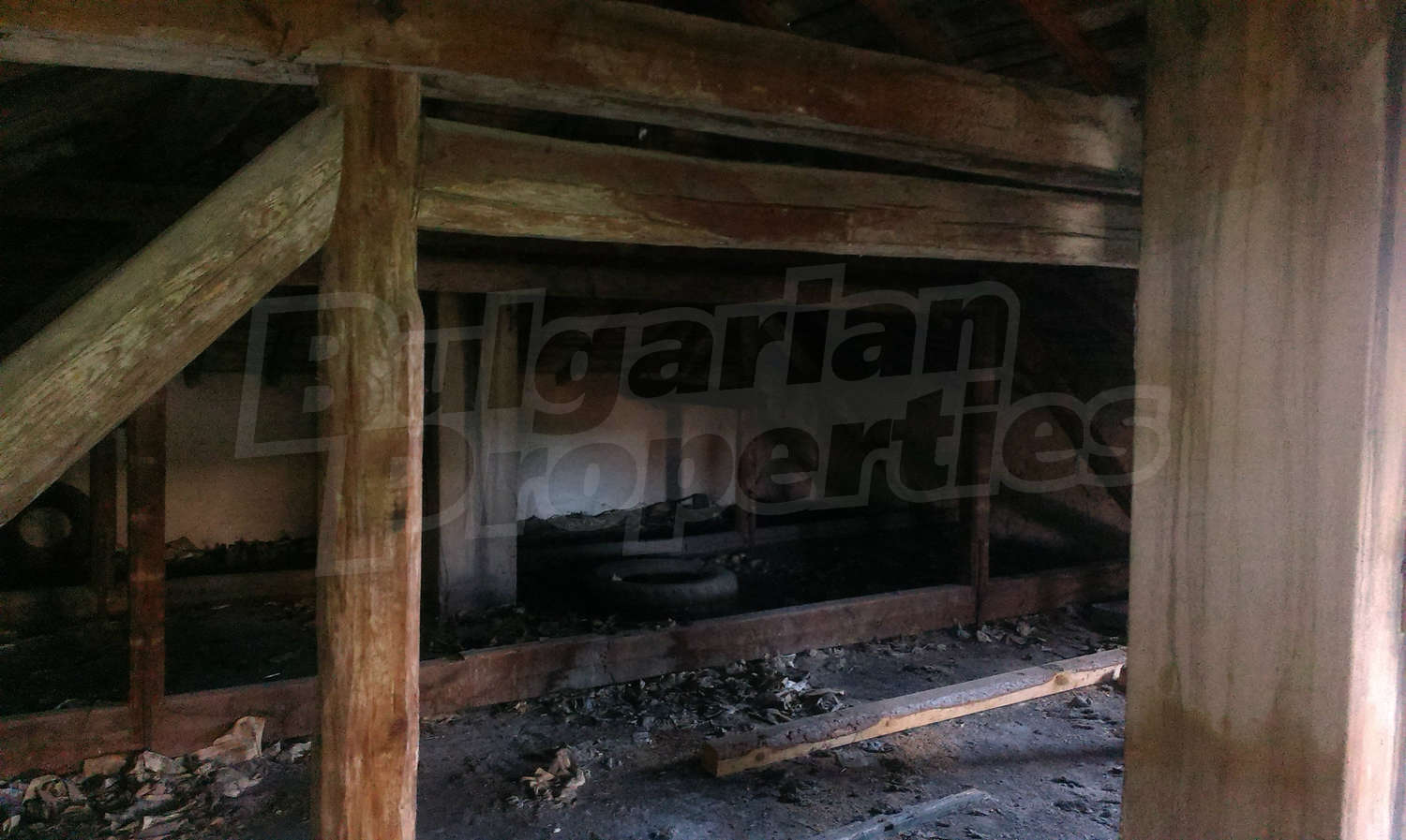 Gallery Picture 14