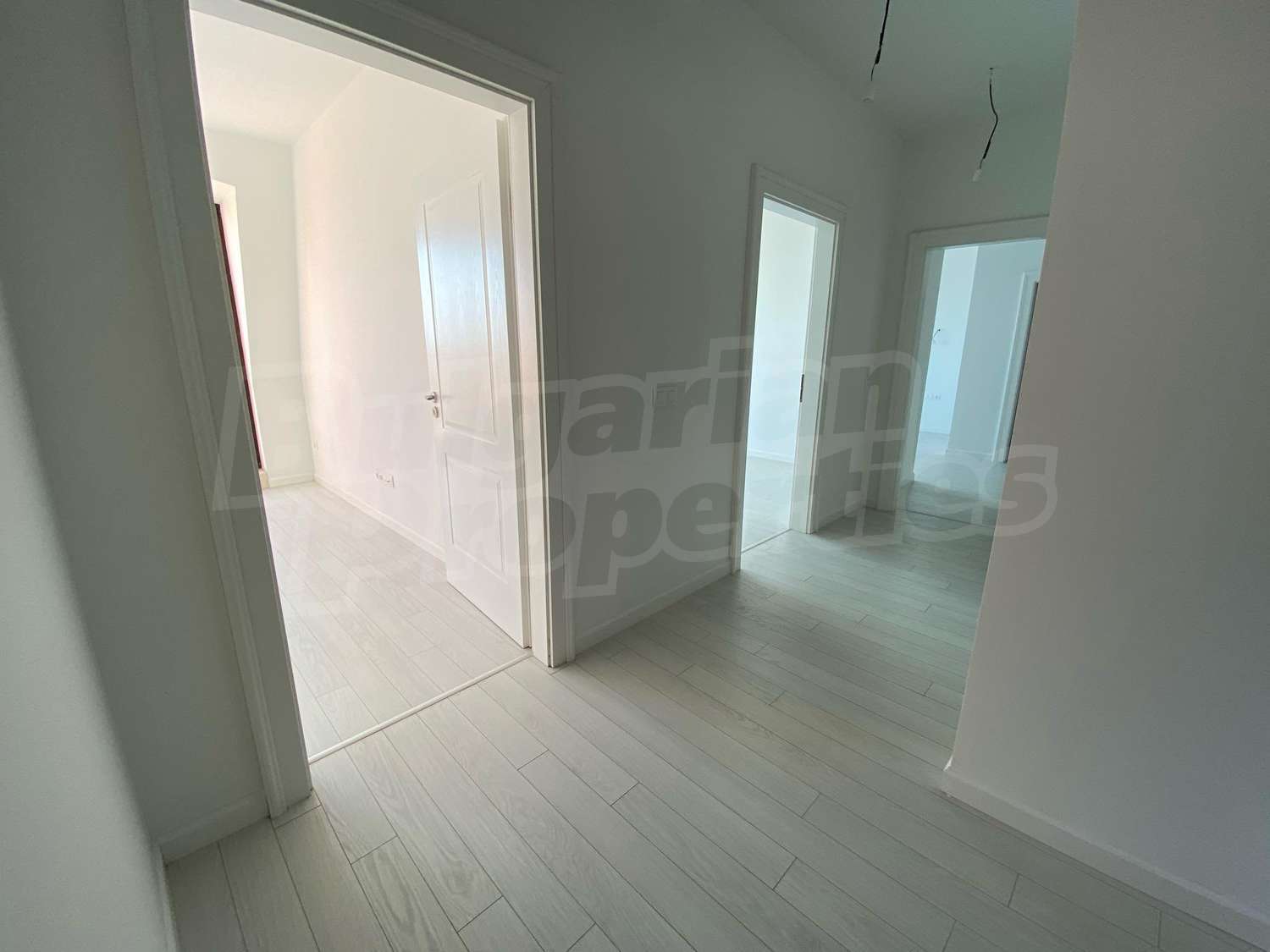 Gallery Picture 6