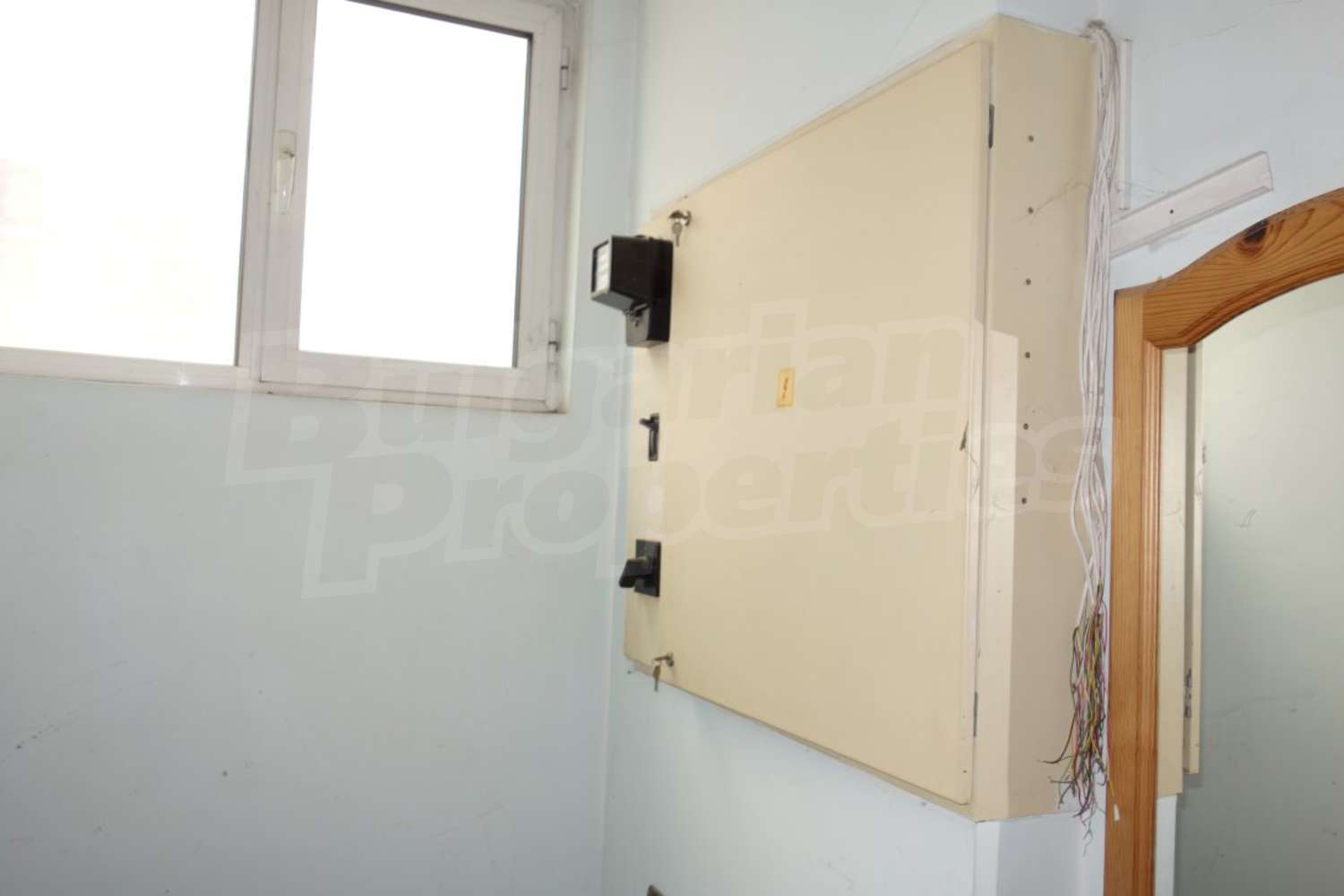 Gallery Picture 10