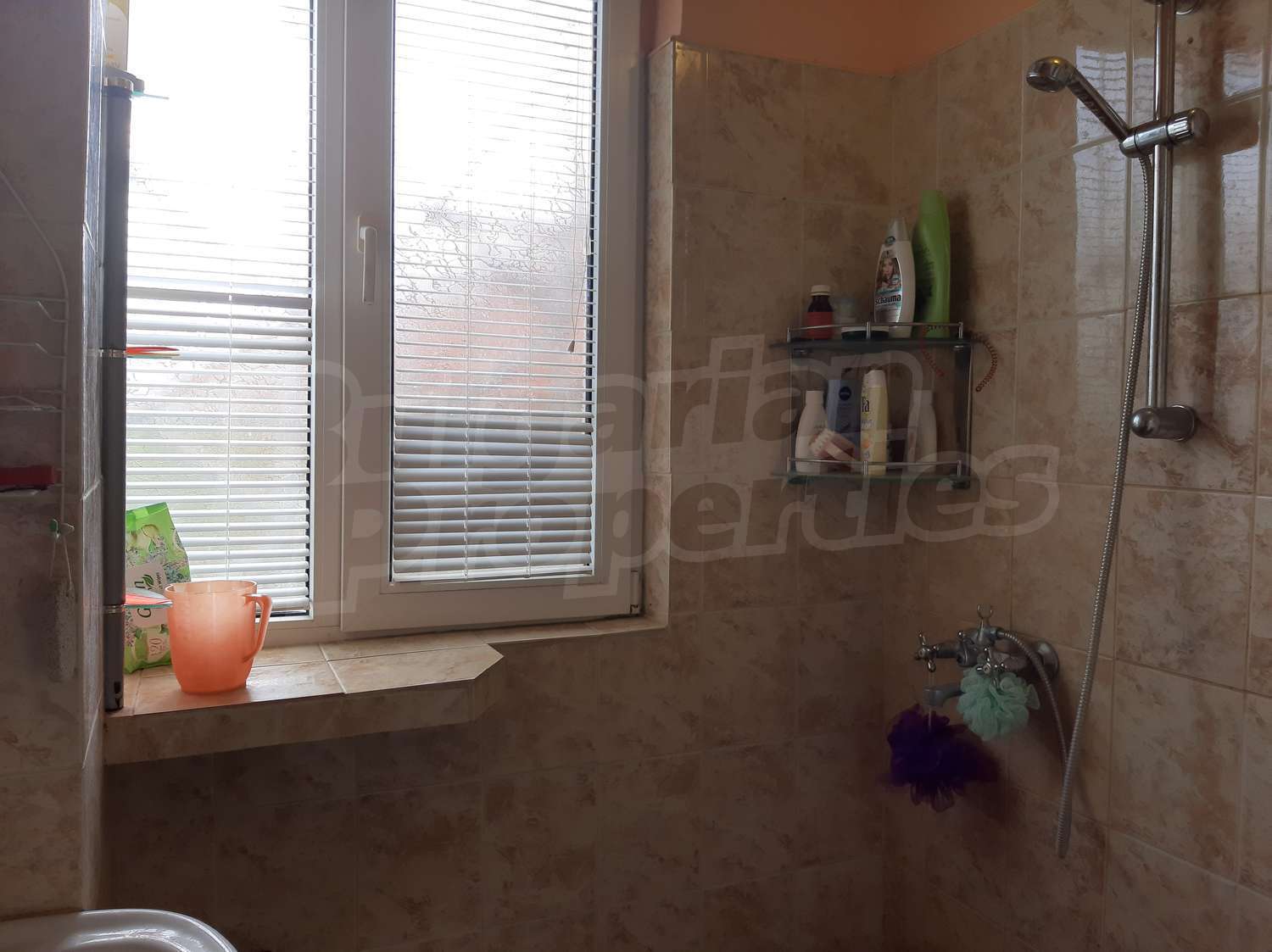 Gallery Picture 13
