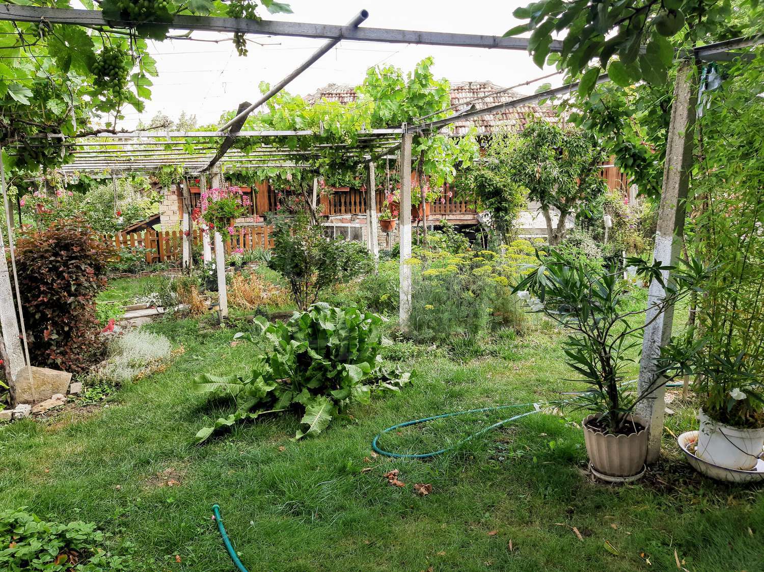 Gallery Picture 31