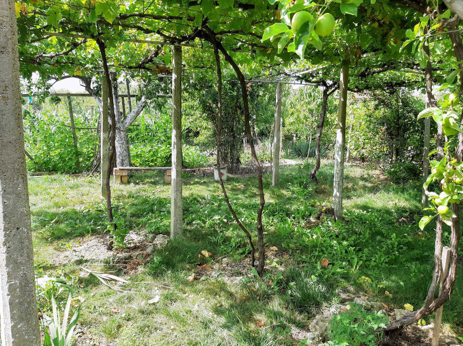 Gallery Picture 33
