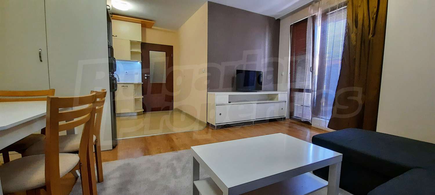 Gallery Picture 8