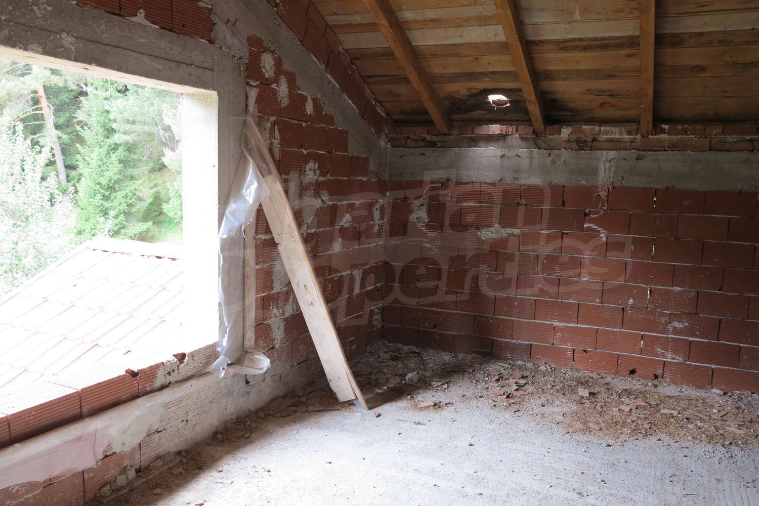 Gallery Picture 24