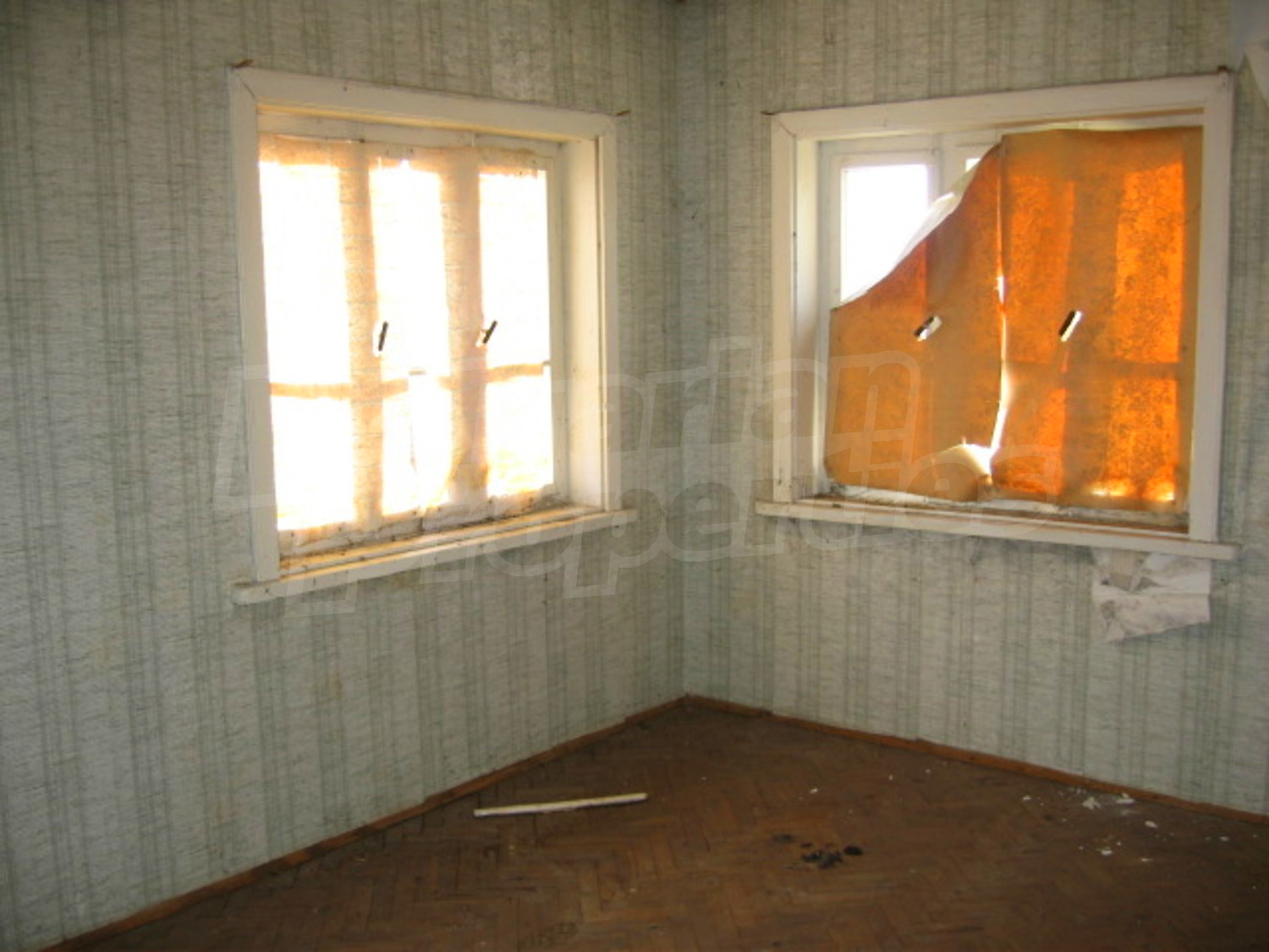 Gallery Picture 6