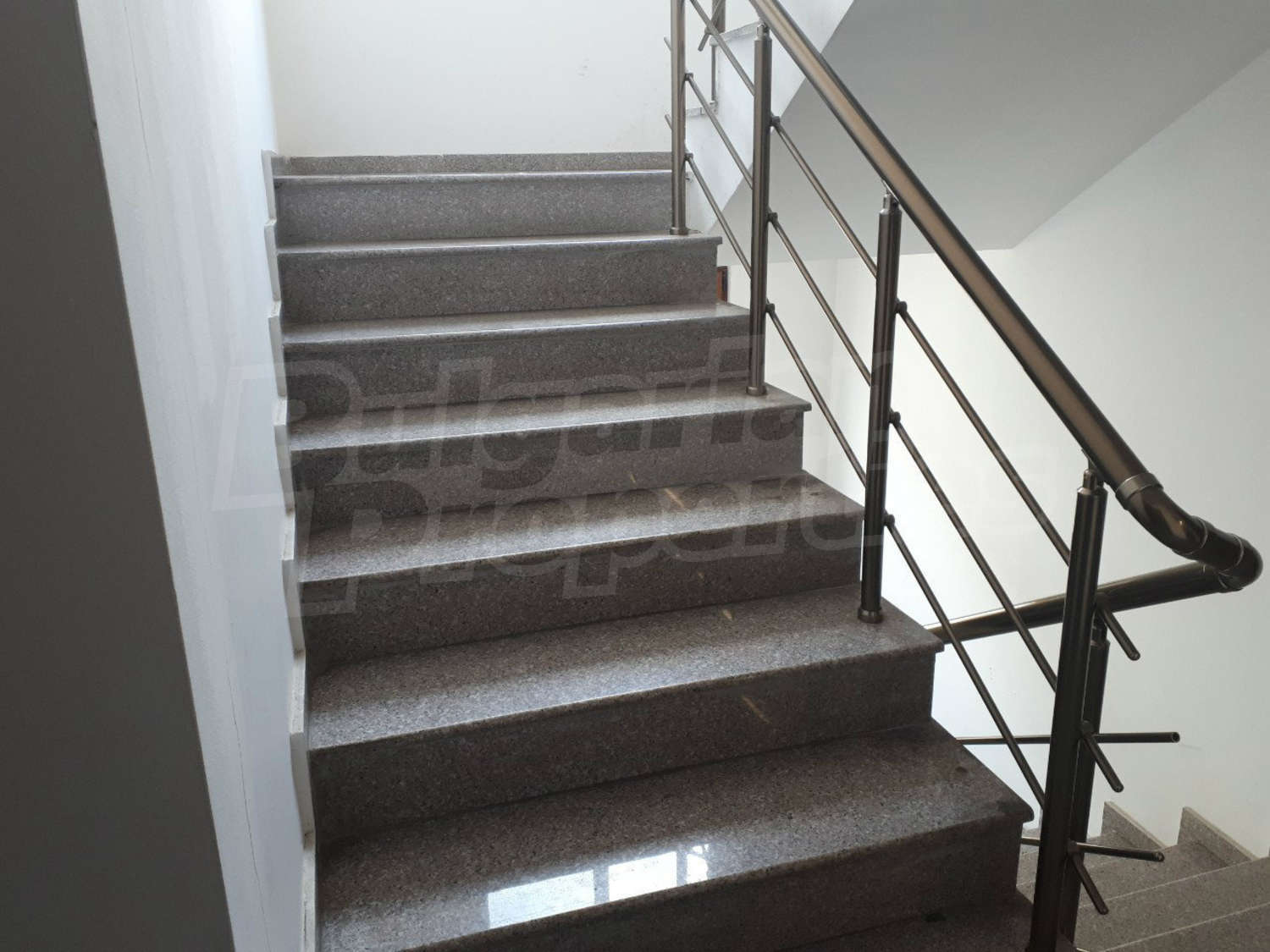 Gallery Picture 13
