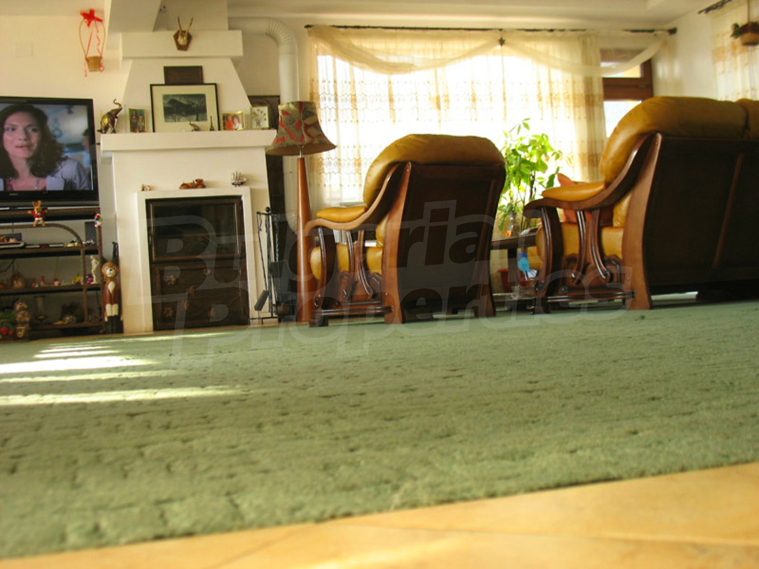 Gallery Picture 10