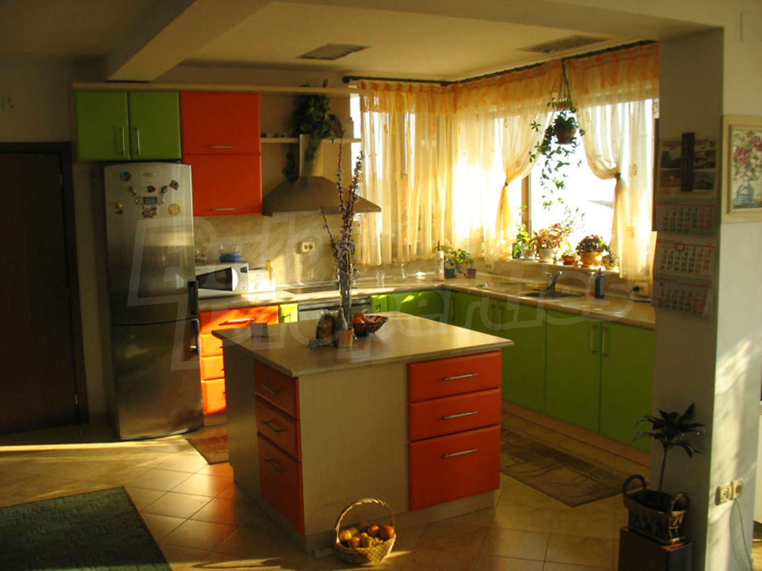 Gallery Picture 11
