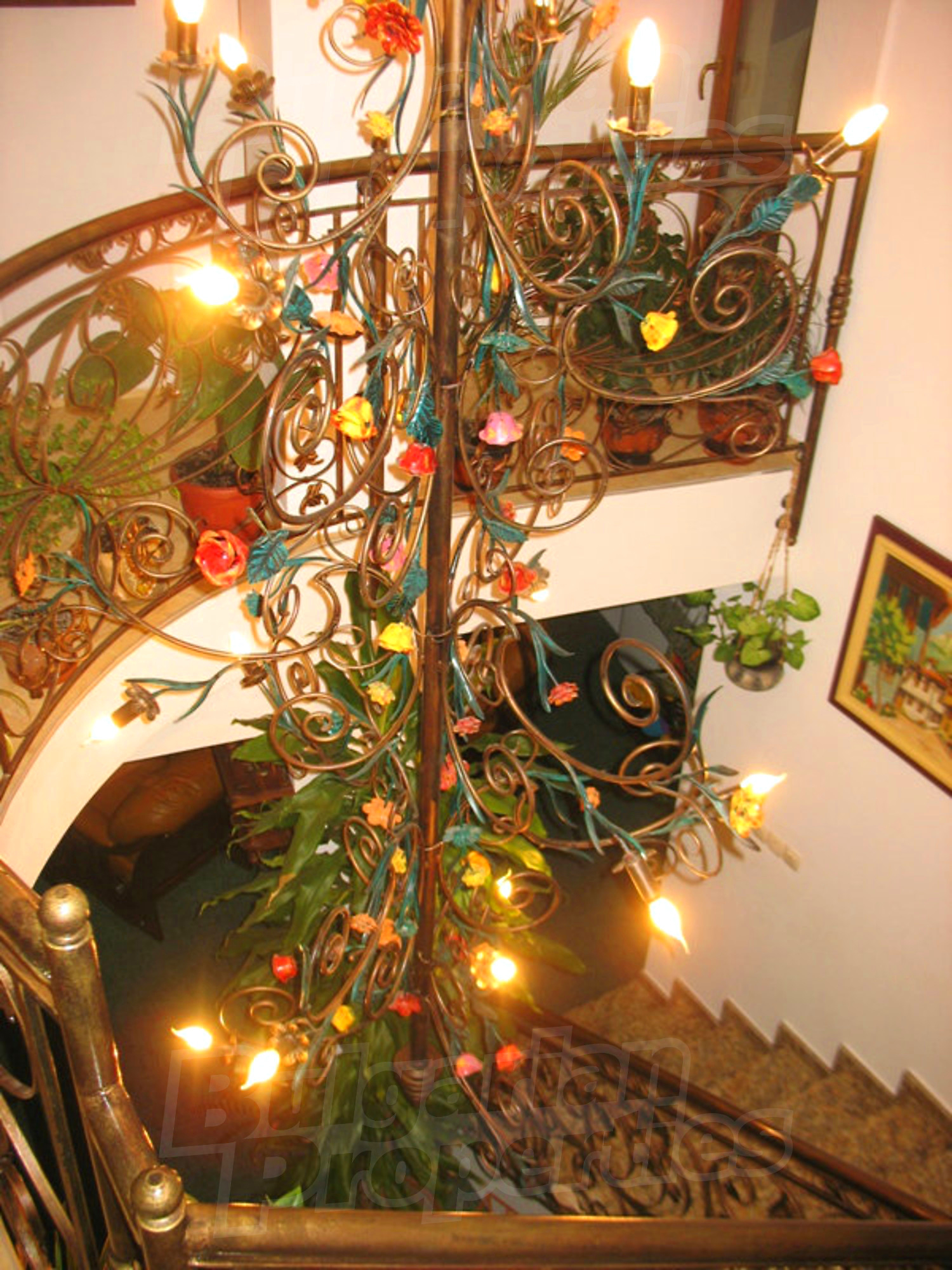 Gallery Picture 13