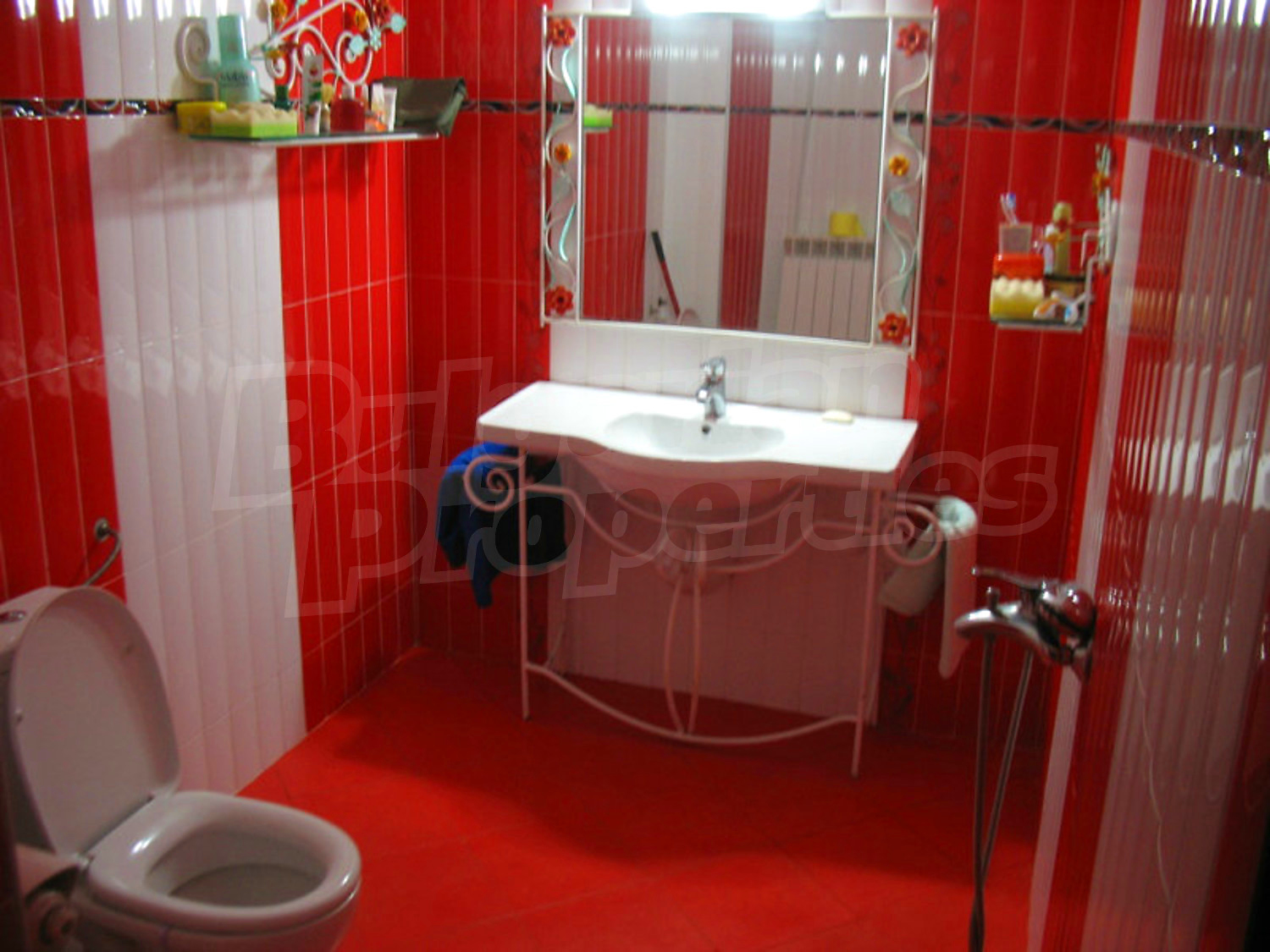 Gallery Picture 19