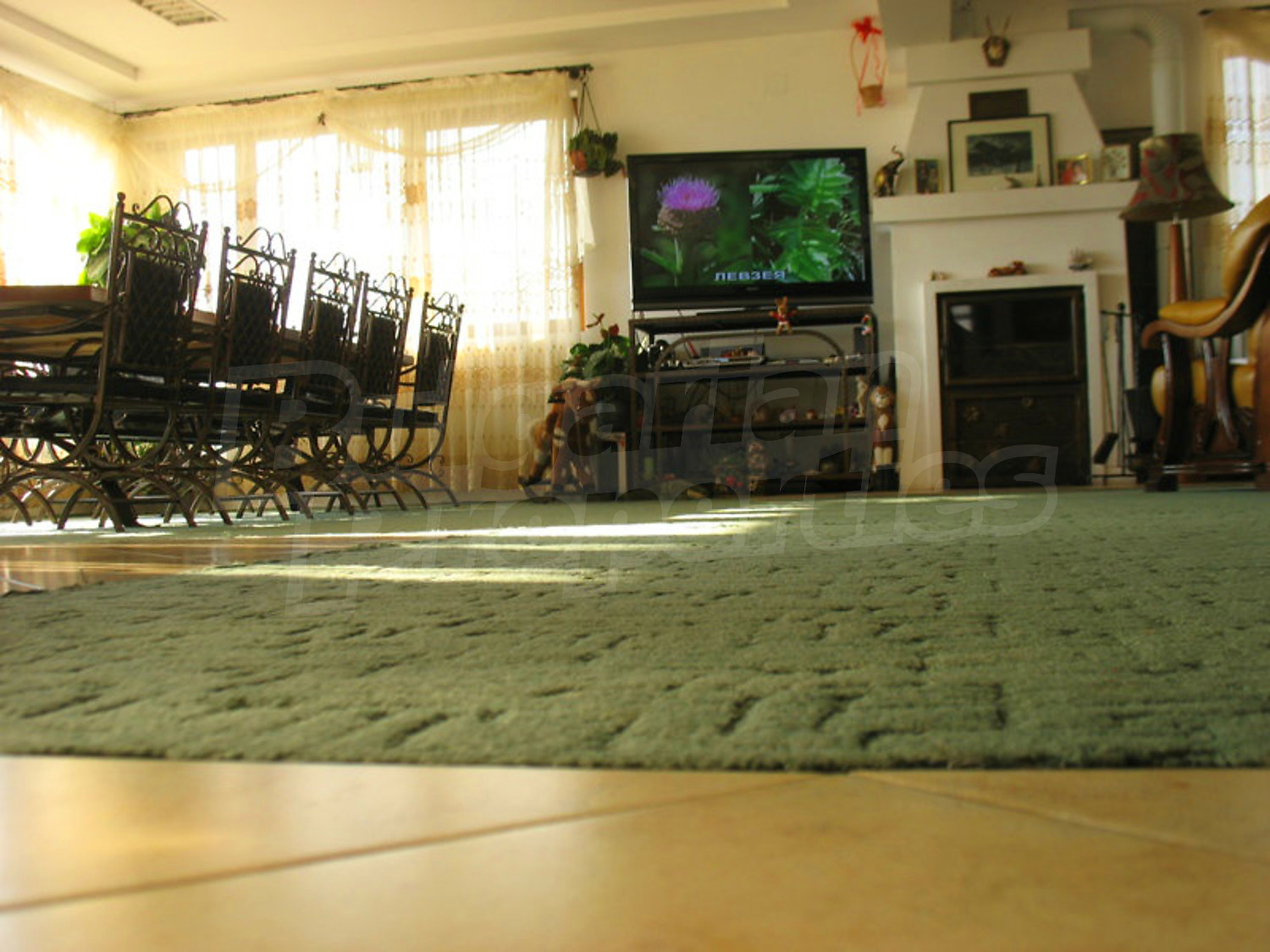 Gallery Picture 9