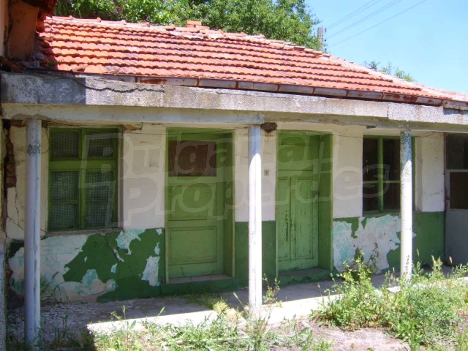 Gallery Picture 18