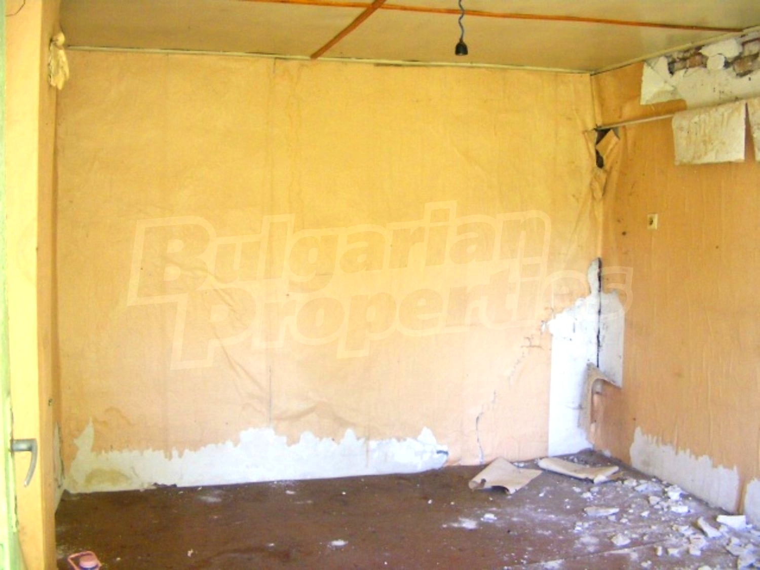 Gallery Picture 19