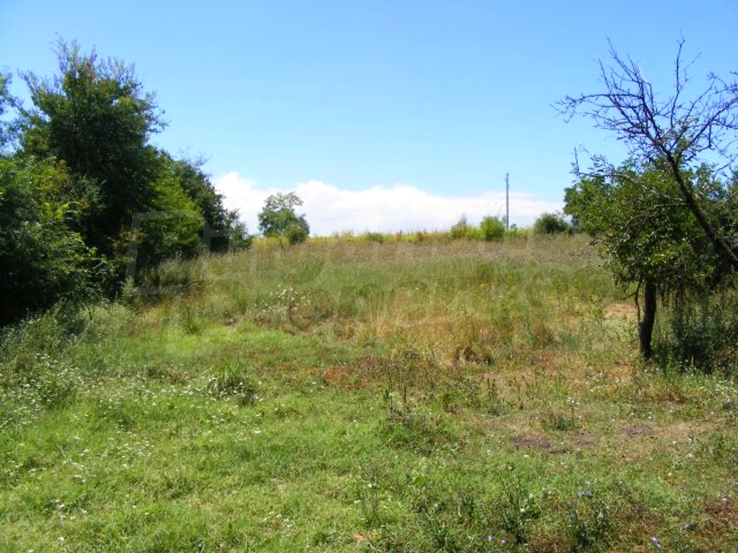 Gallery Picture 23