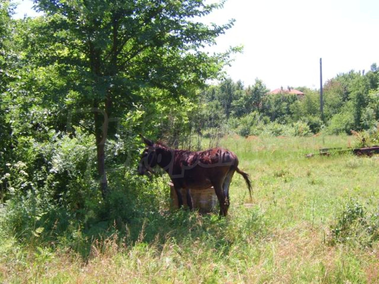 Gallery Picture 27