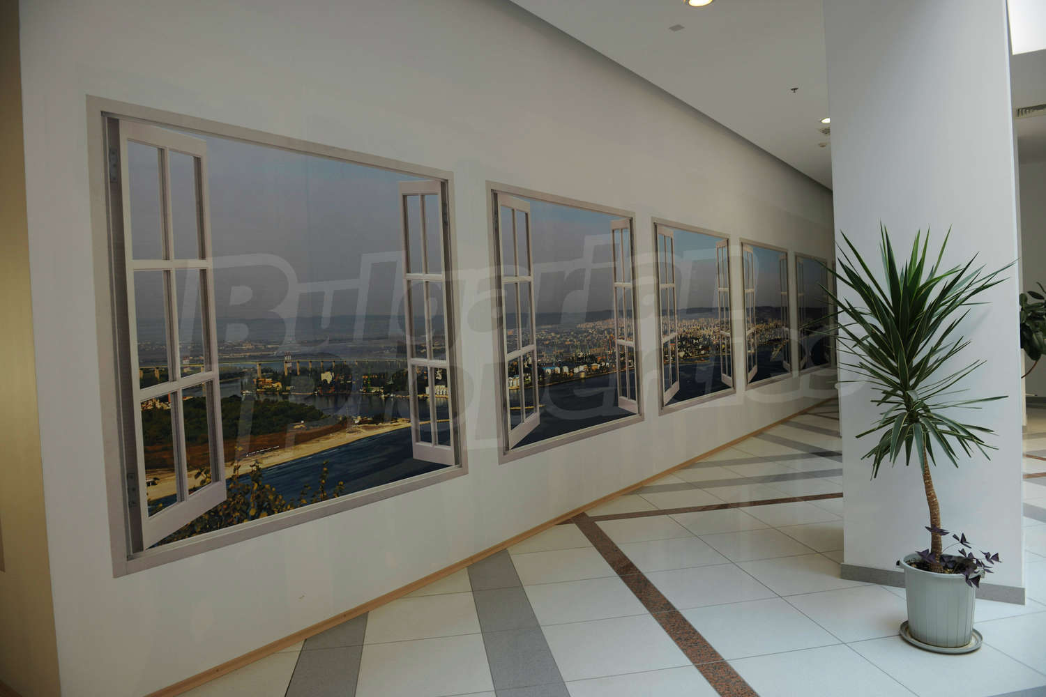 Gallery Picture 31