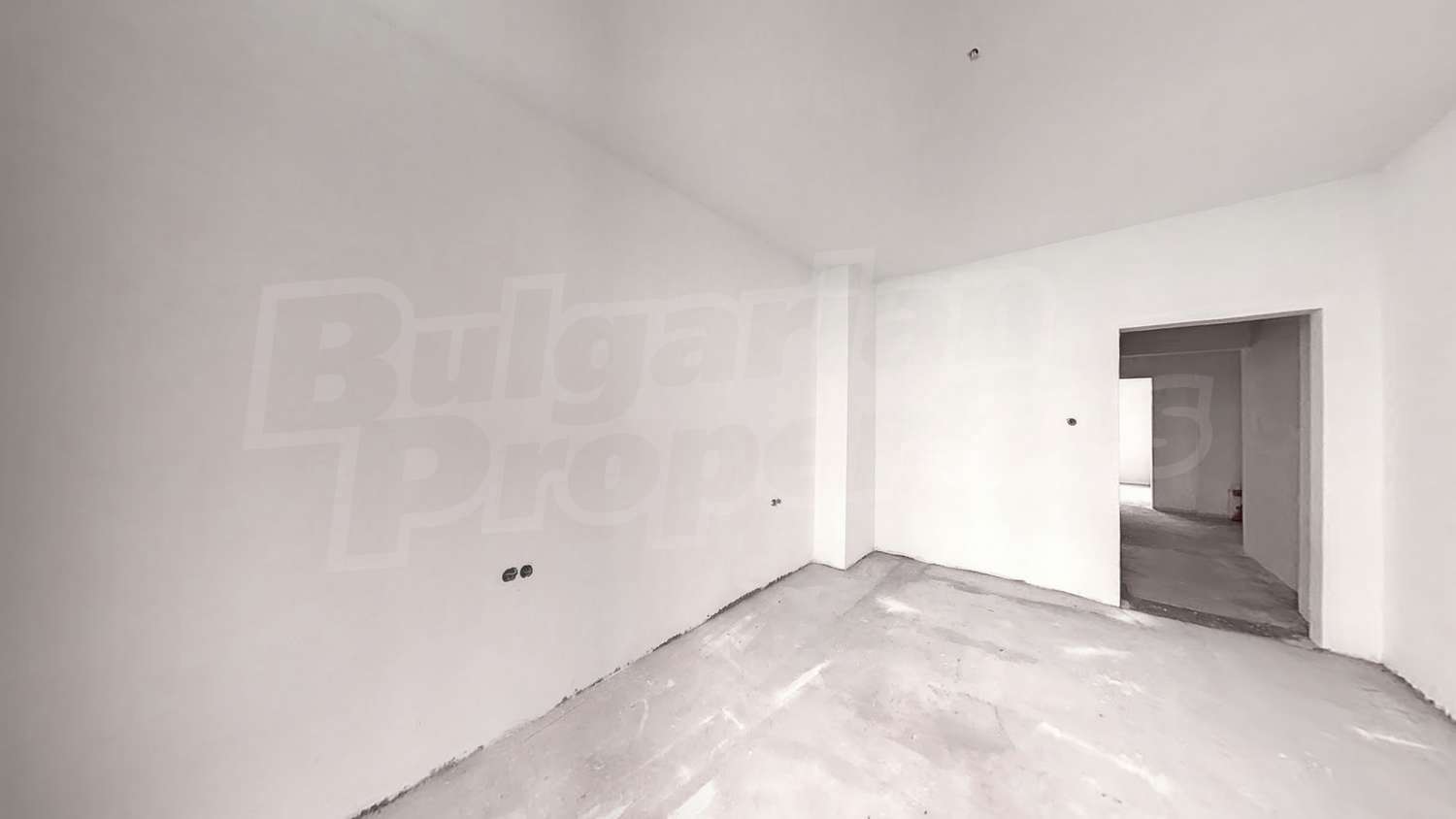 Gallery Picture 11