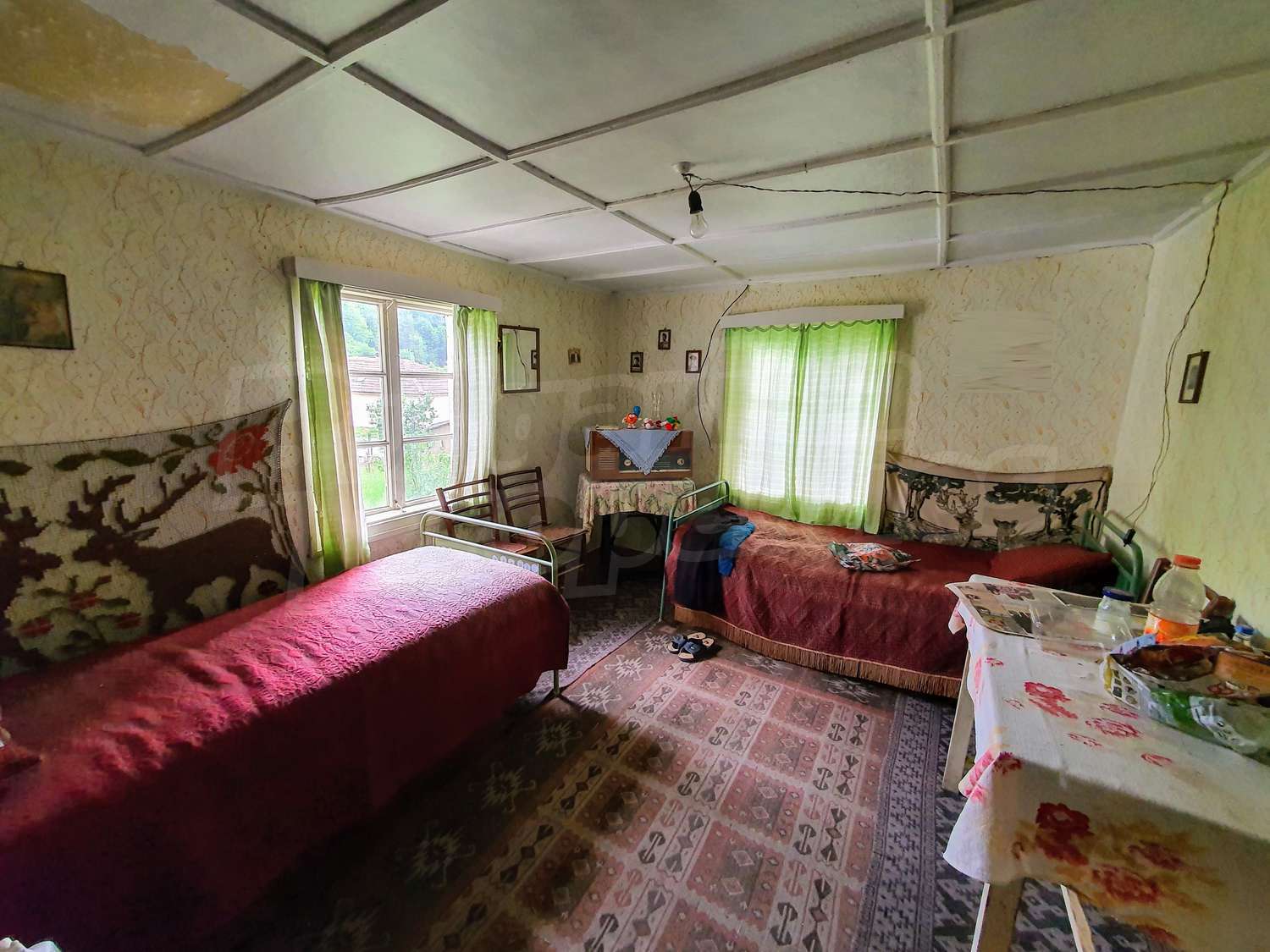 Gallery Picture 15