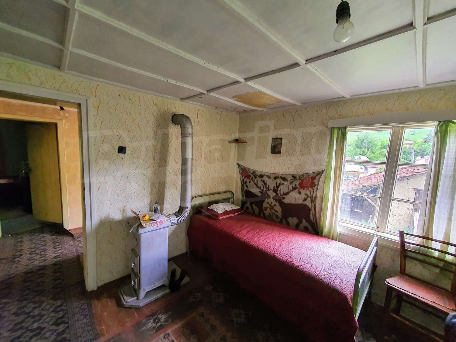 Gallery Picture 16