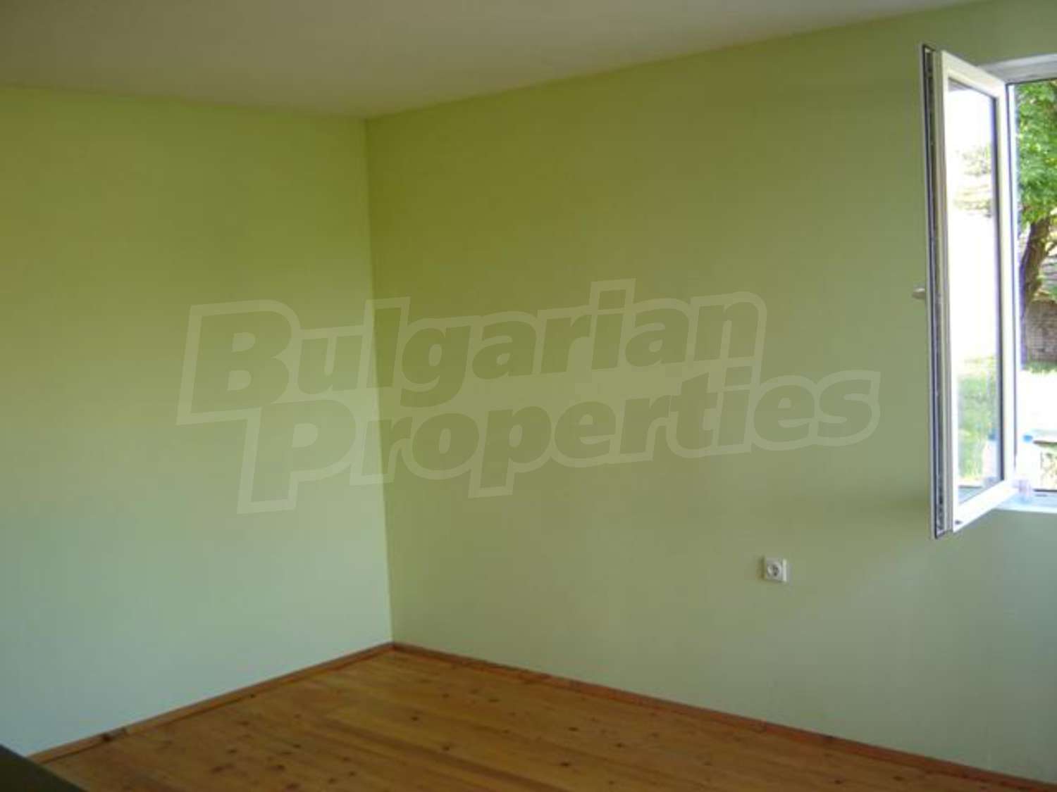 Gallery Picture 17