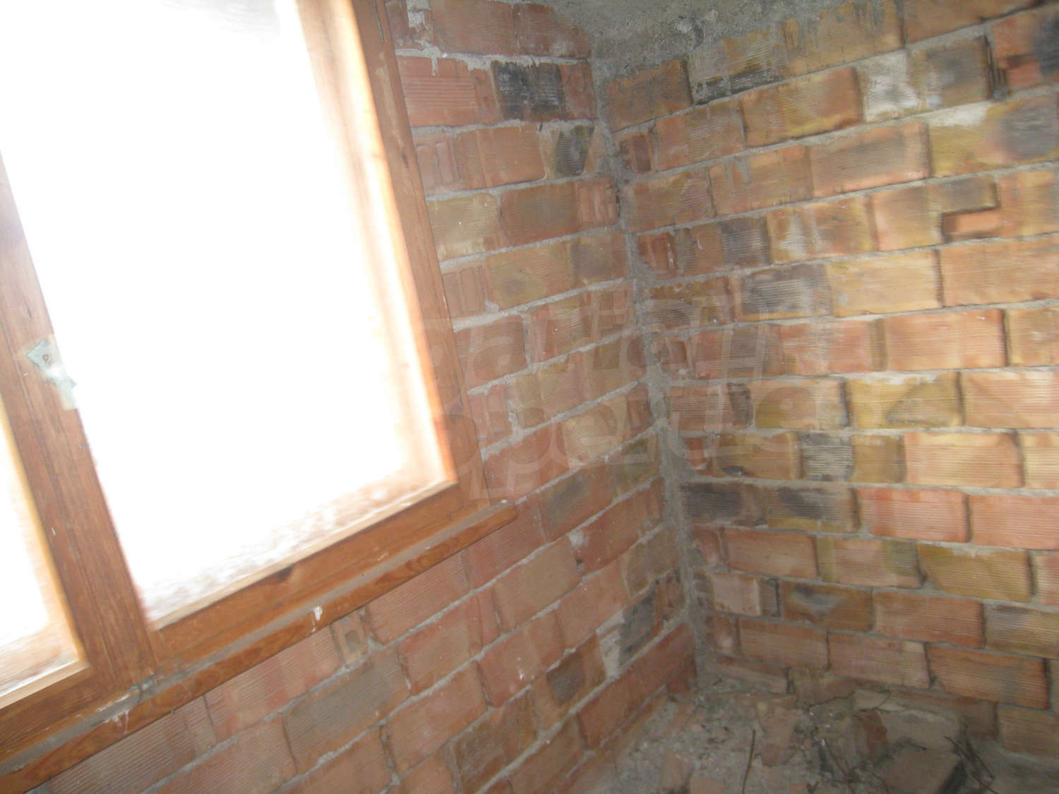 Gallery Picture 16