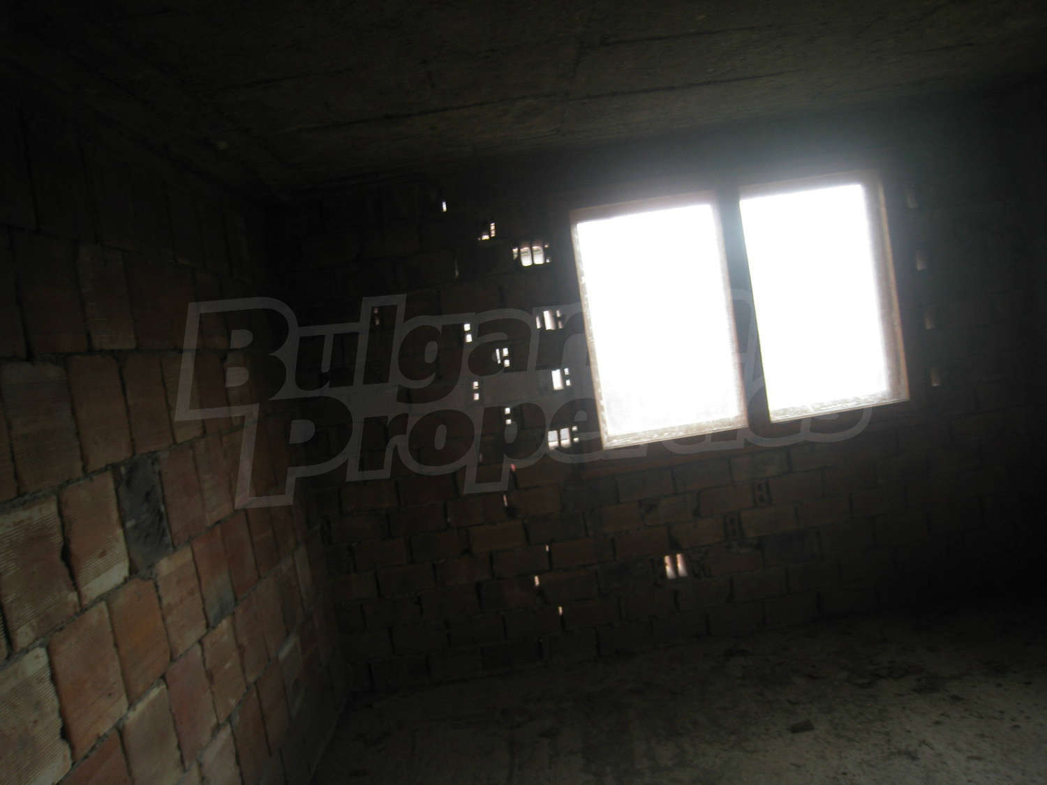 Gallery Picture 17