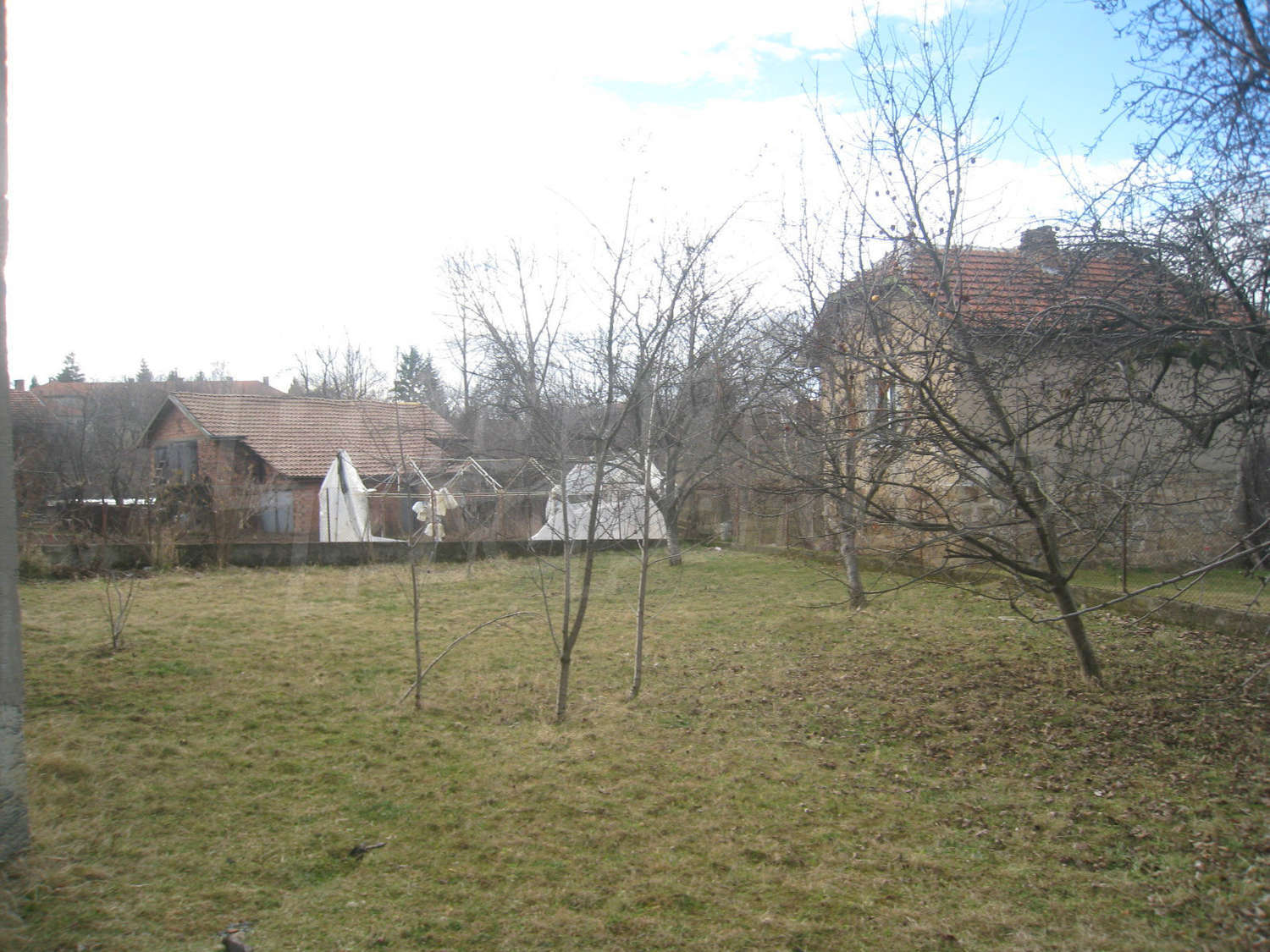 Gallery Picture 37