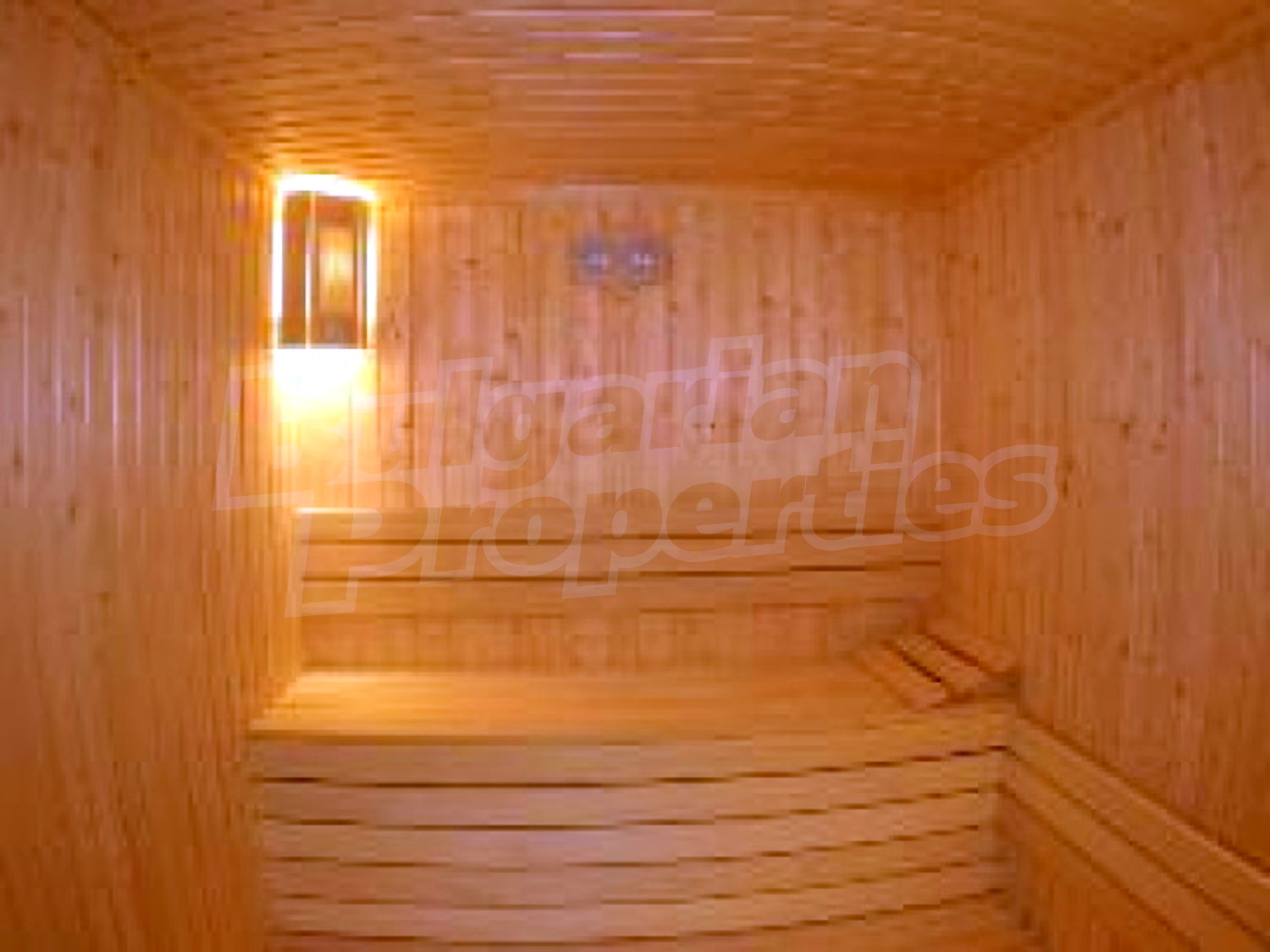 Gallery Picture 16