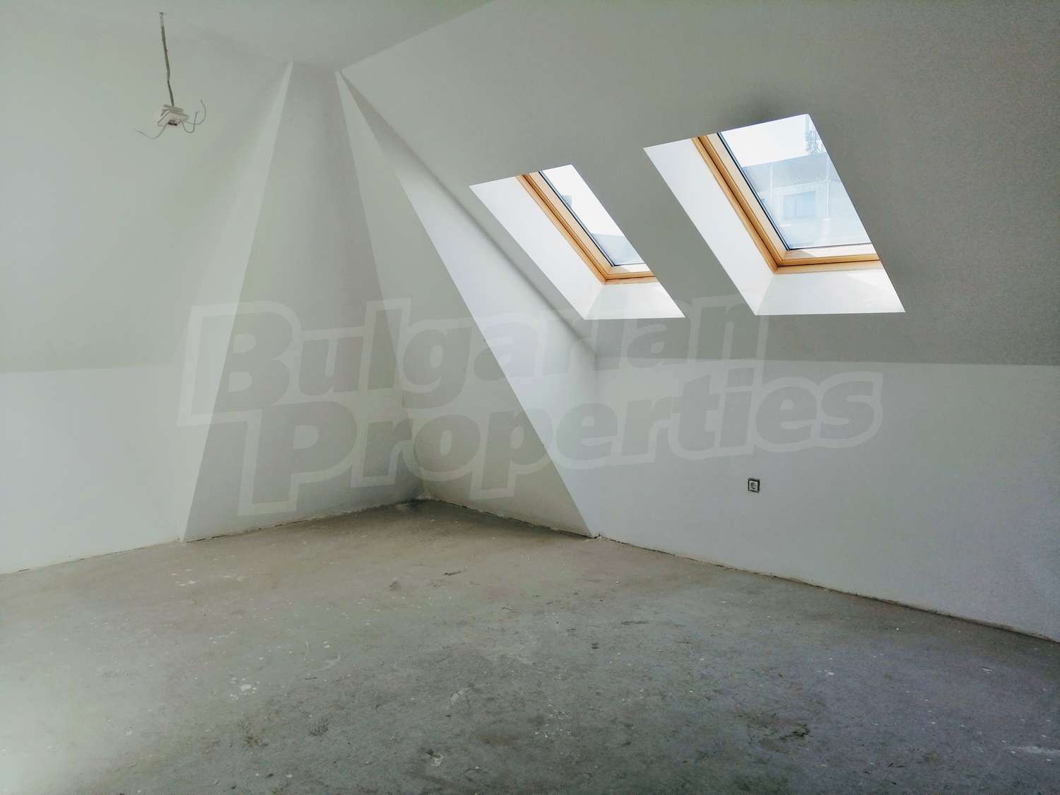 Gallery Picture 10
