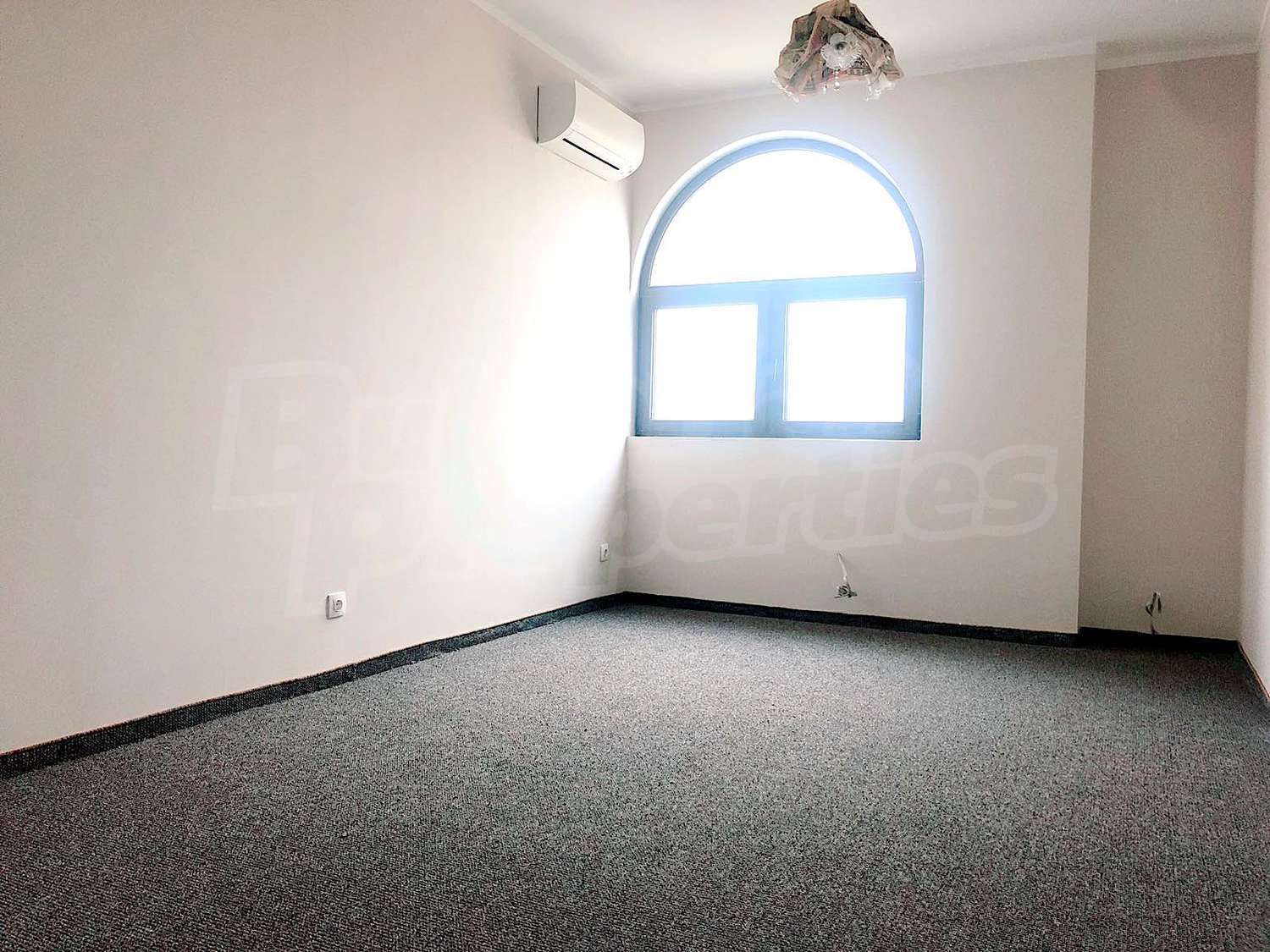 Gallery Picture 14
