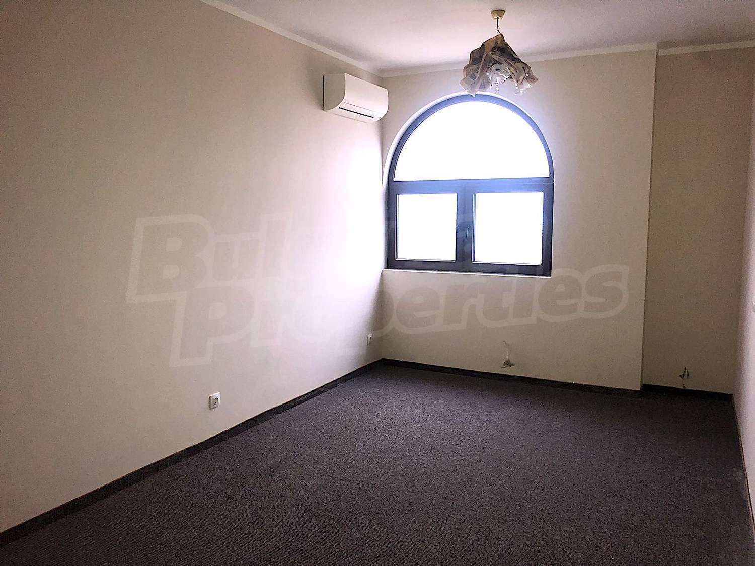 Gallery Picture 16