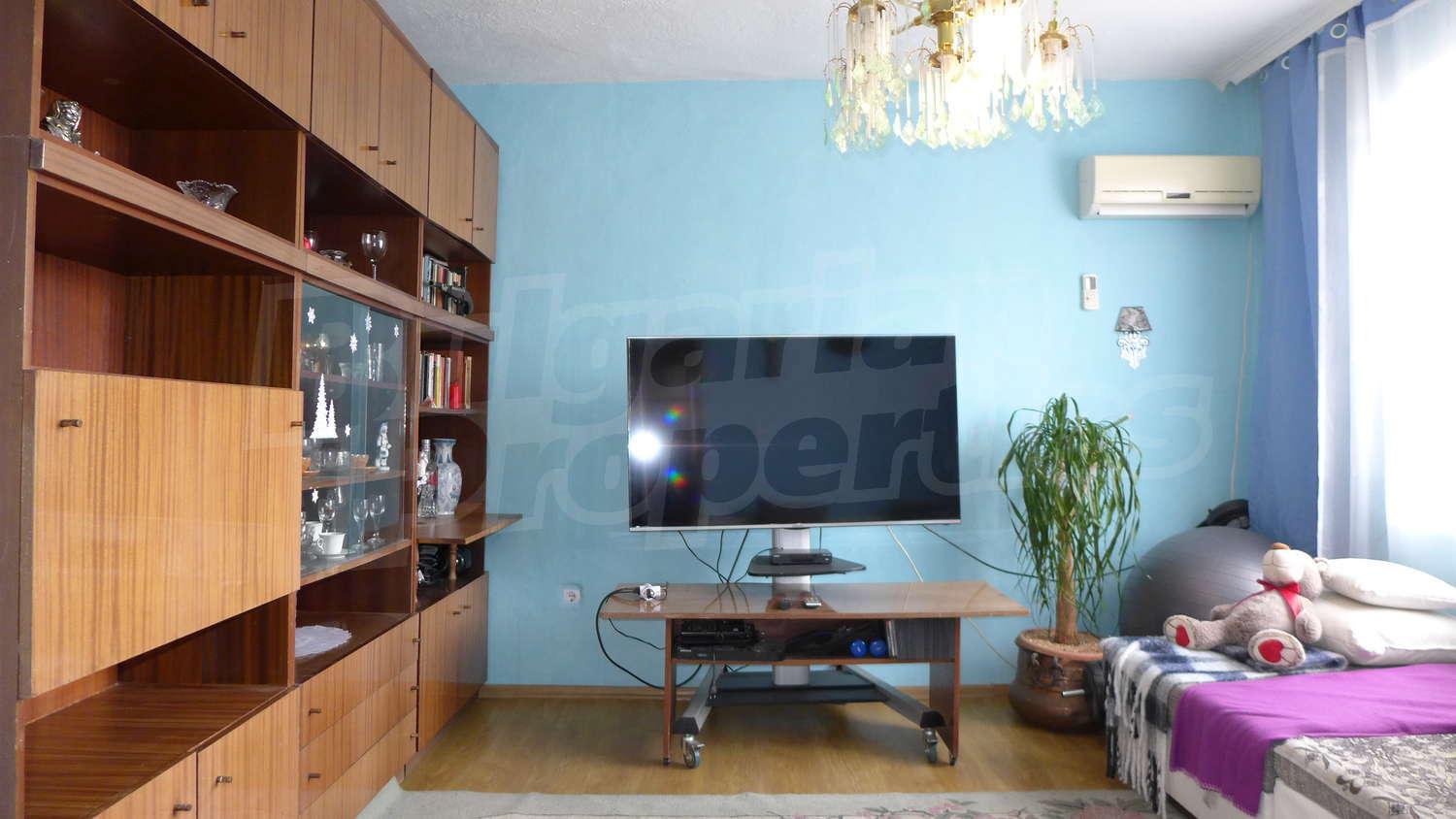 Gallery Picture 14