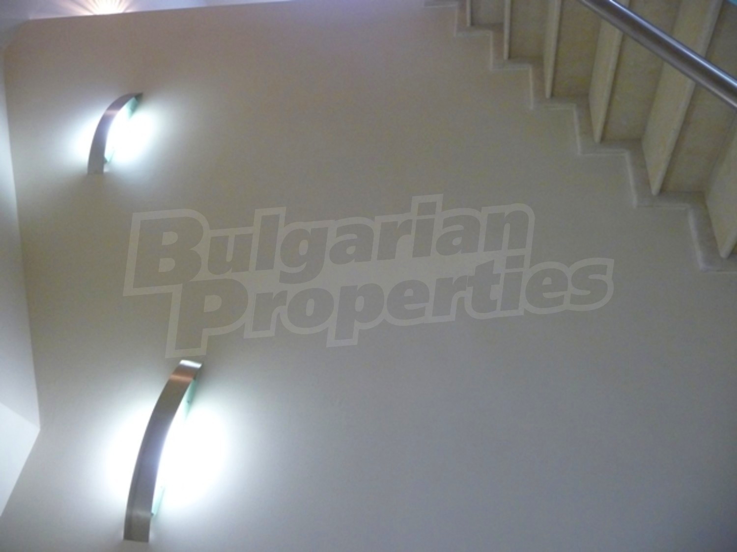 Gallery Picture 37