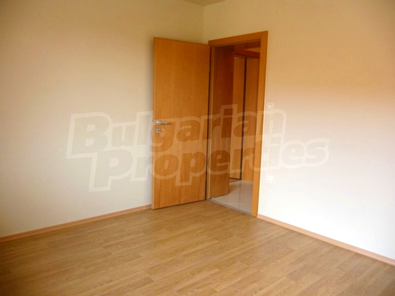 Gallery Picture 43