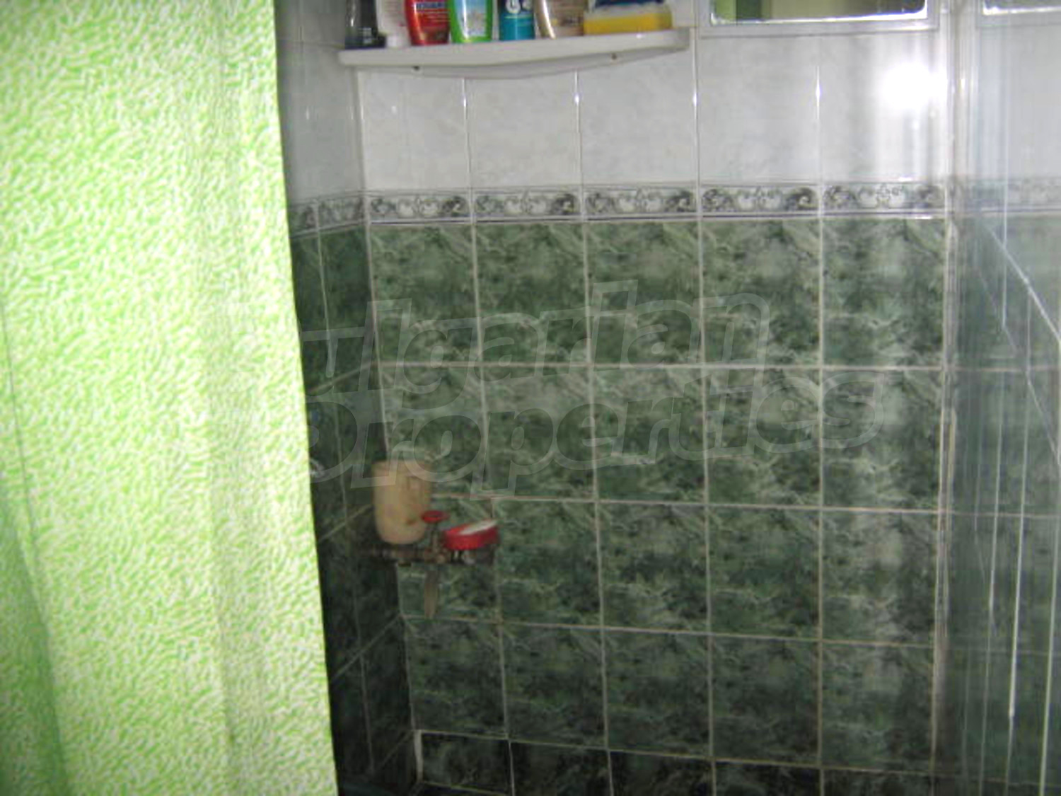 Gallery Picture 10