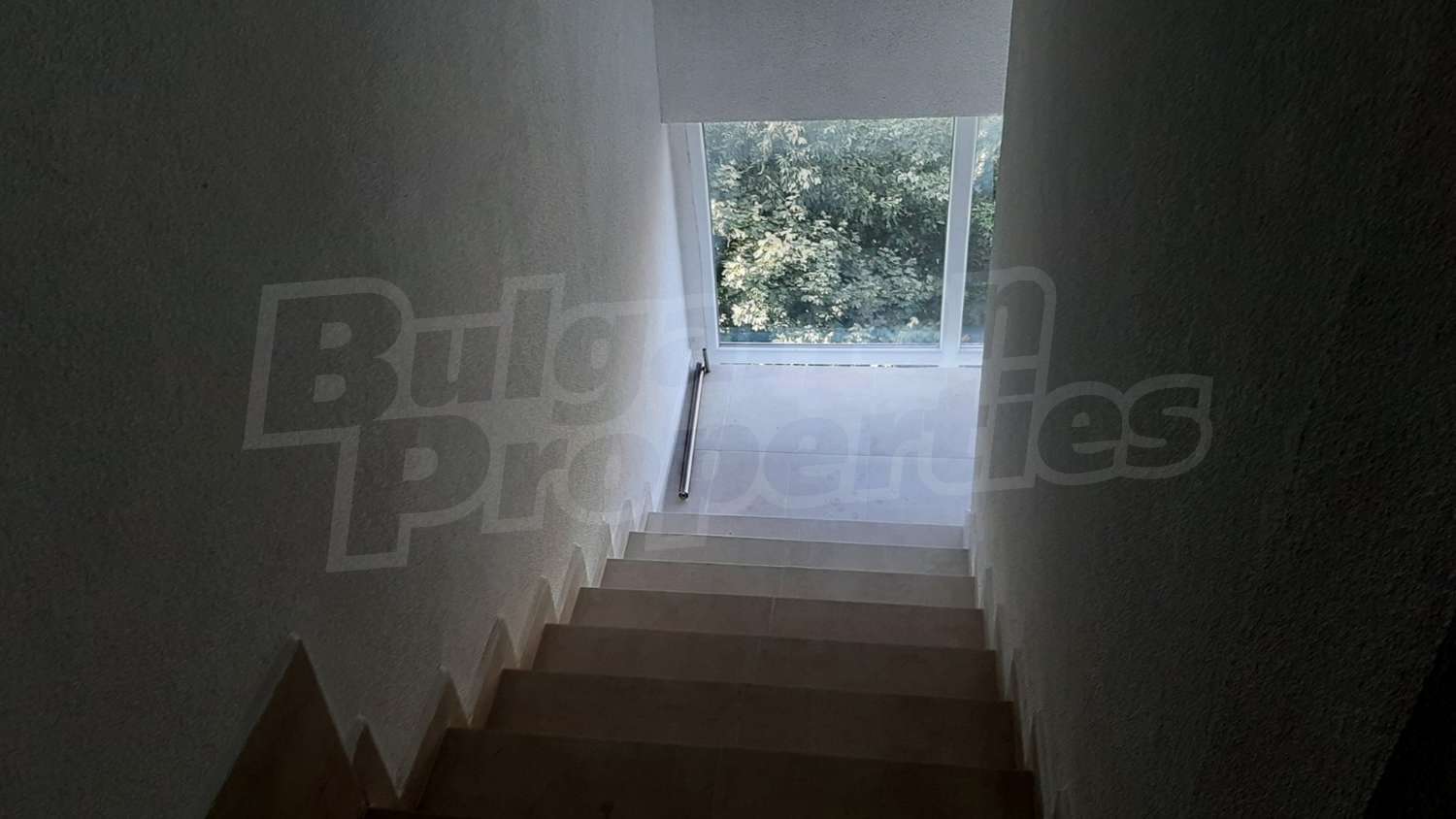 Gallery Picture 13