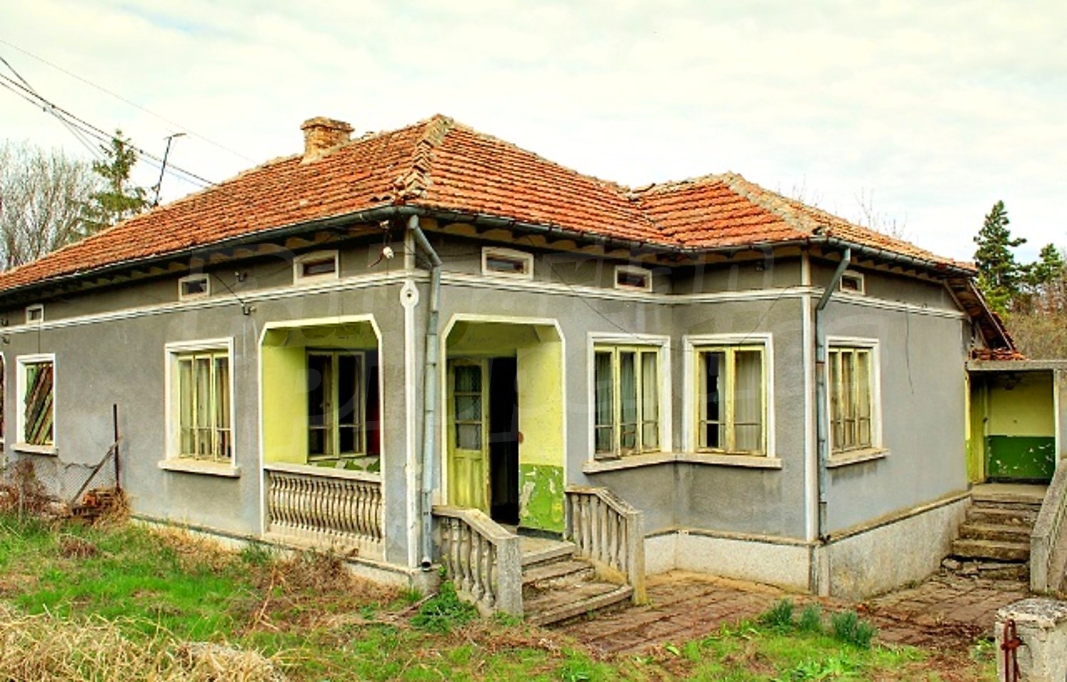 Gallery Picture 7