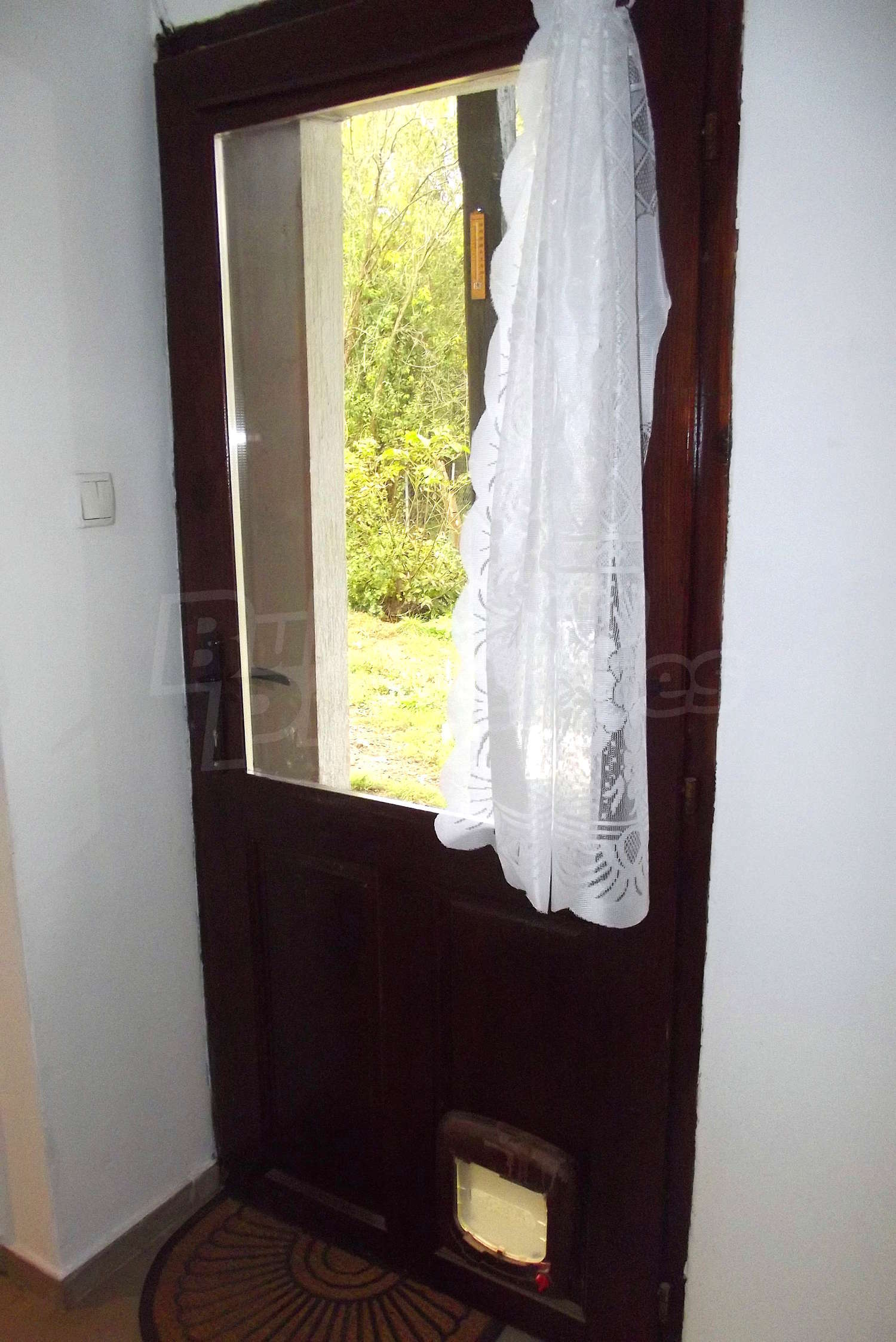 Gallery Picture 21