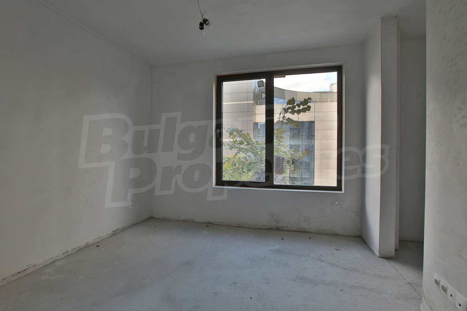 Gallery Picture 18